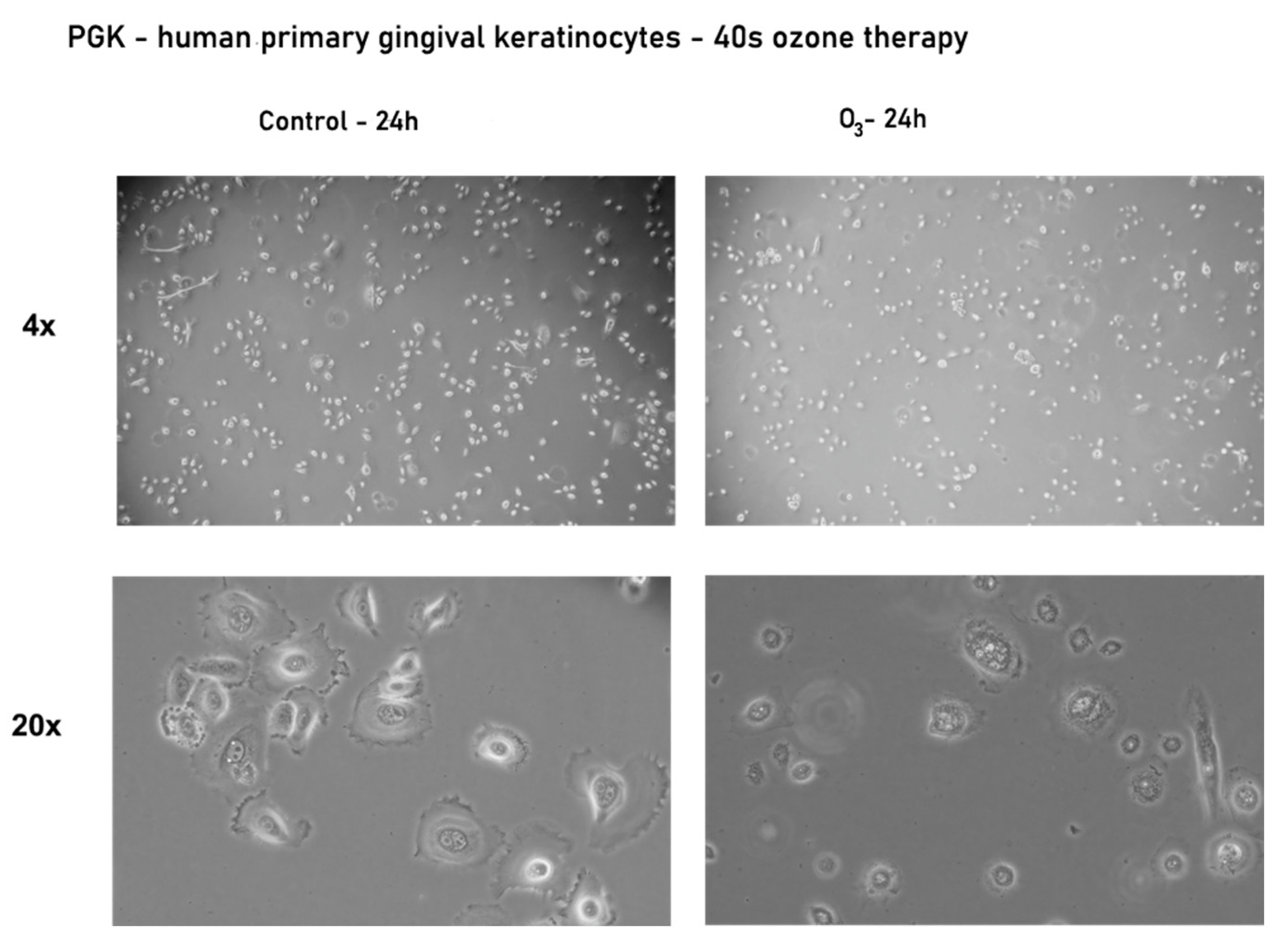 Processes 09 01978 g005