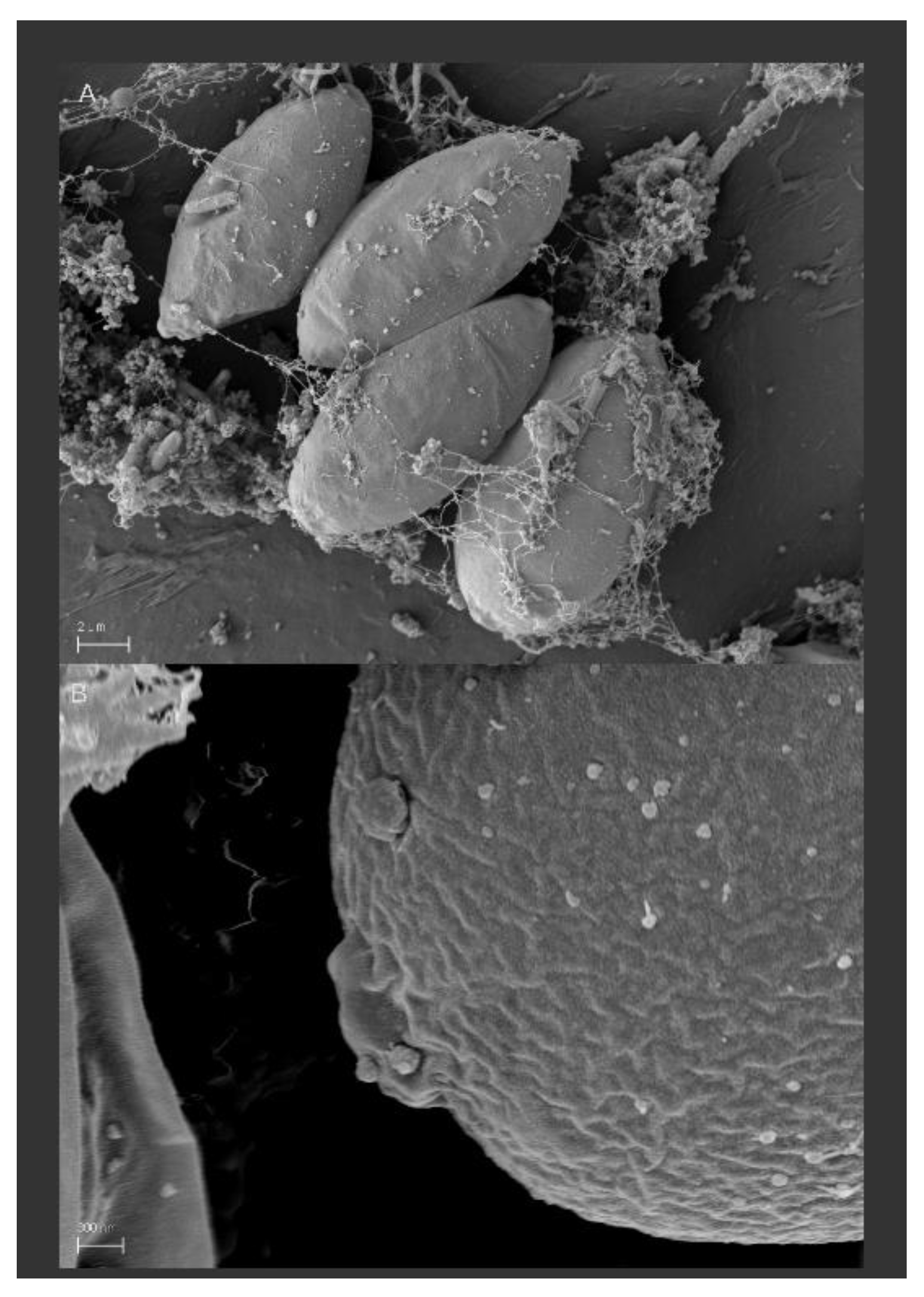 Processes 09 02006 g002