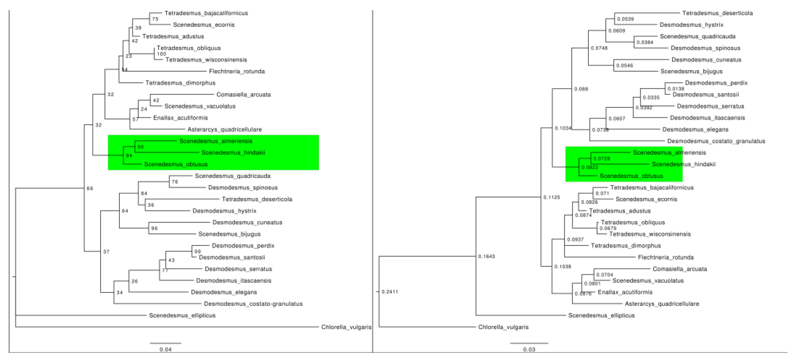 Processes 09 02006 g003