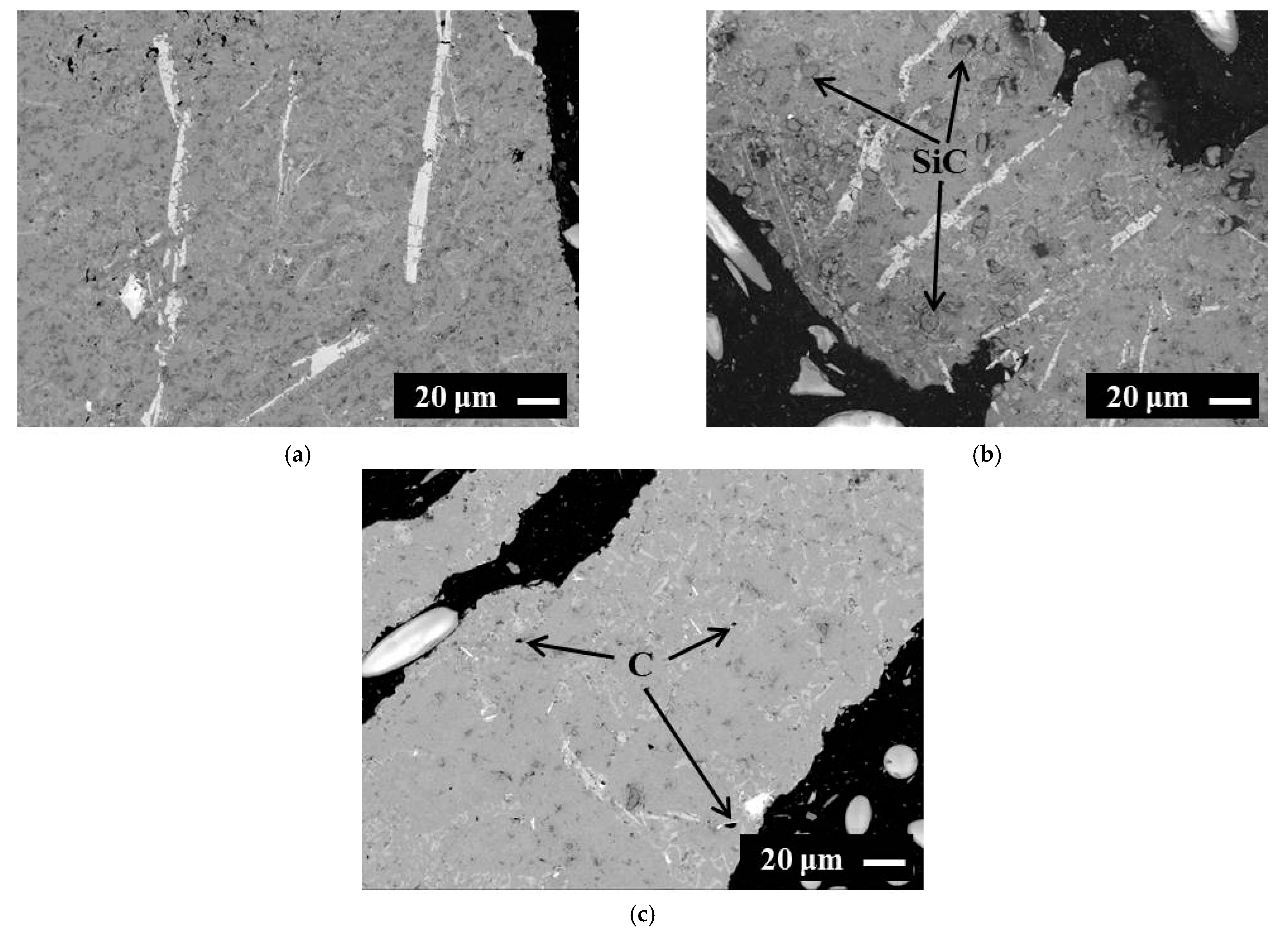 Processes 09 02031 g003