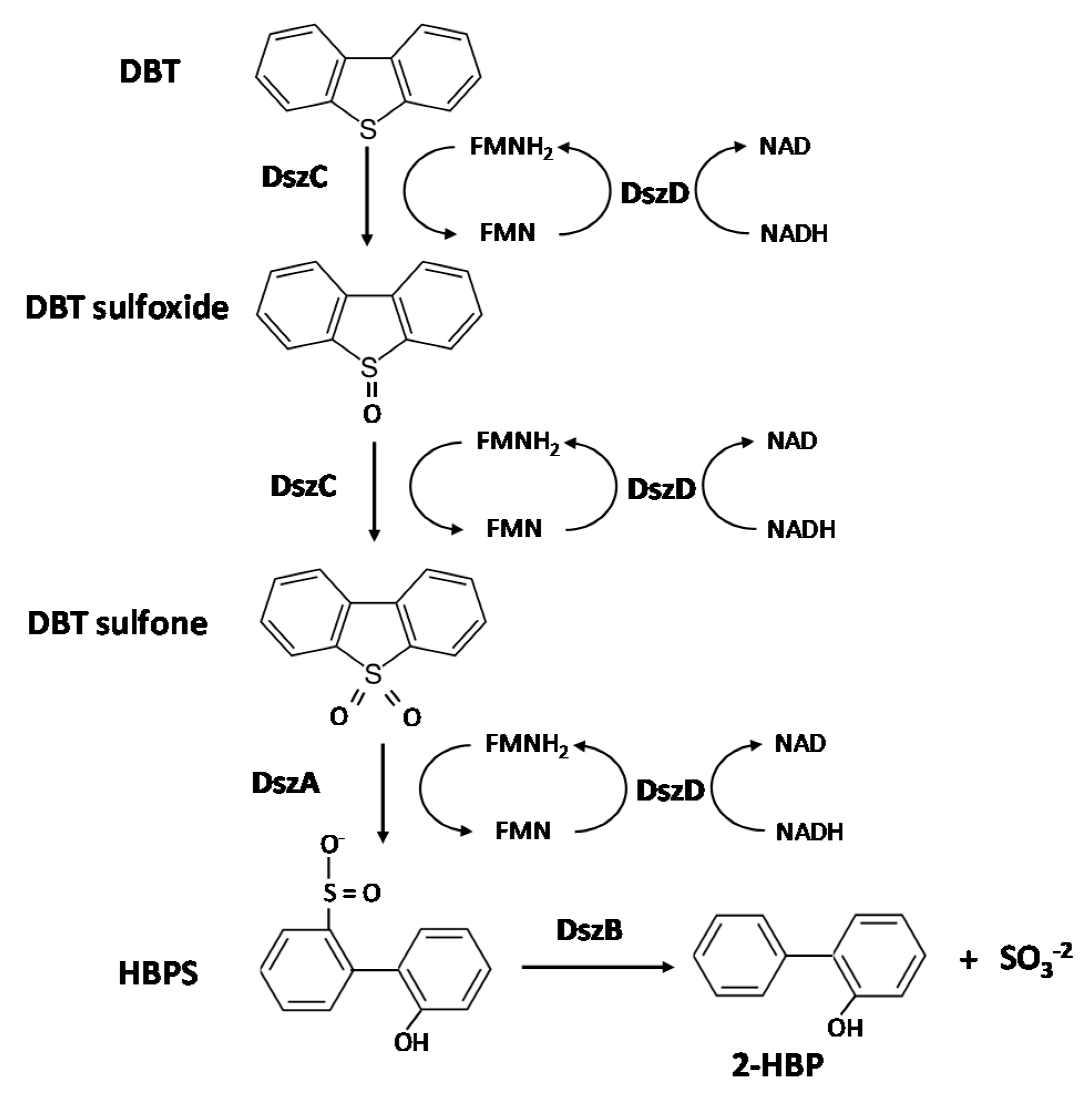 Processes 09 02064 g001