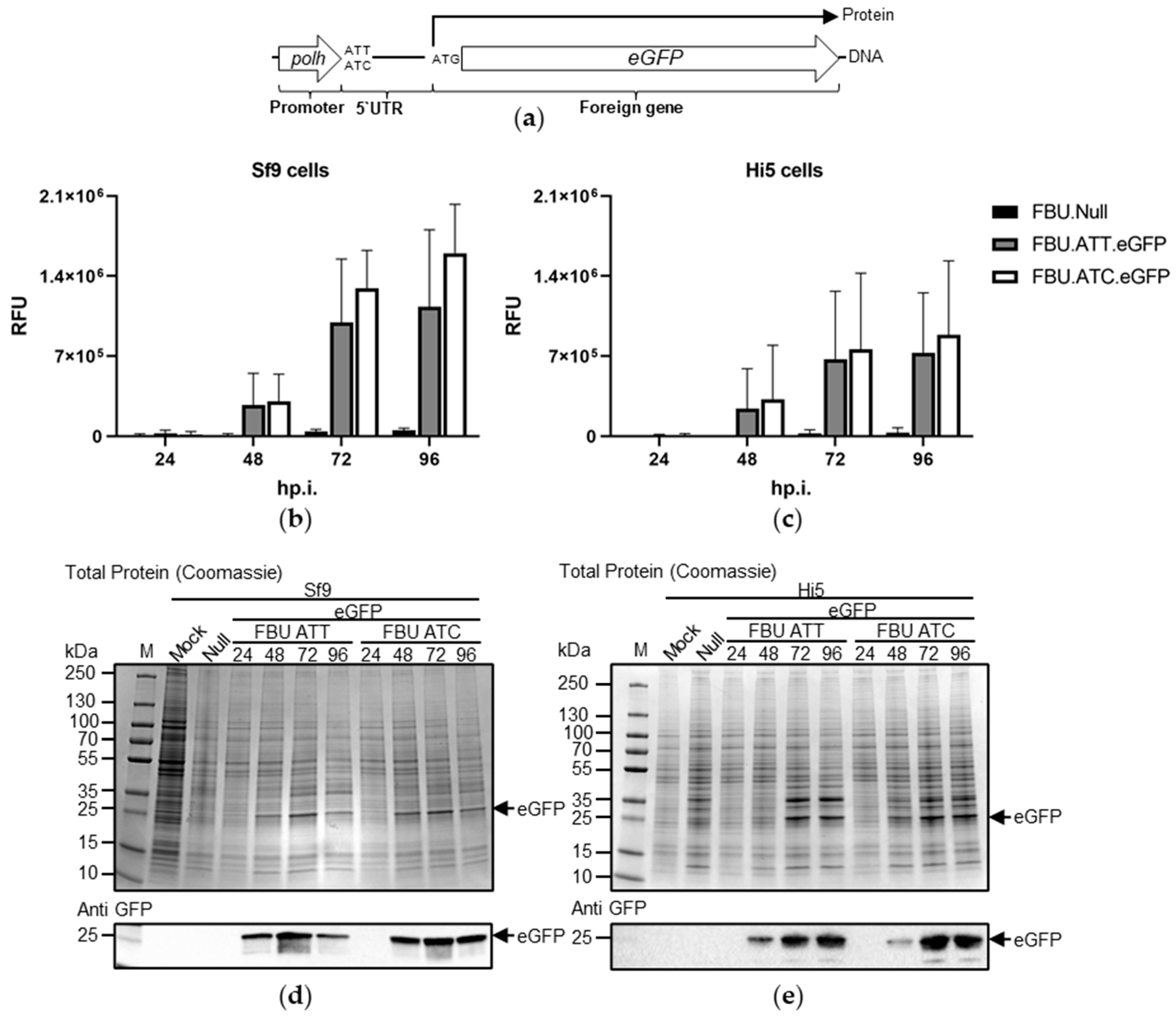 Processes 09 02118 g003