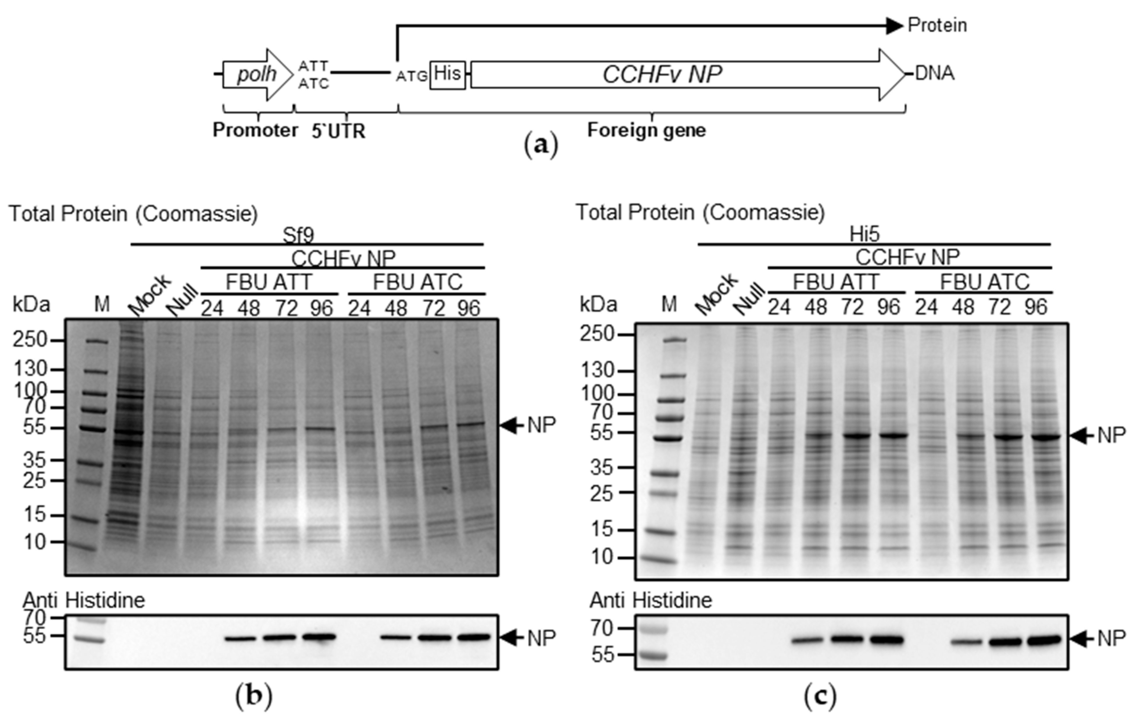 Processes 09 02118 g005