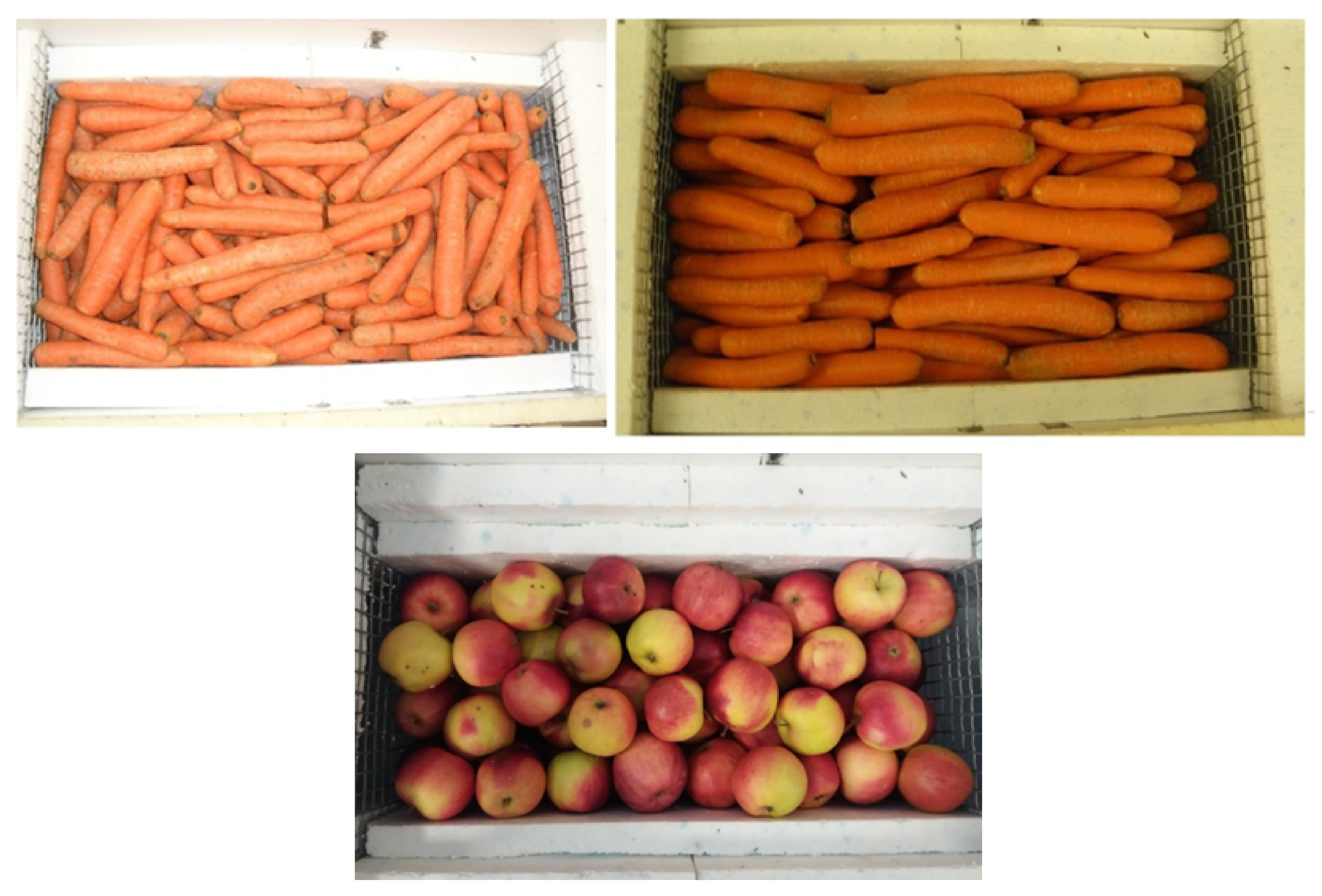 Processes 09 02151 g005