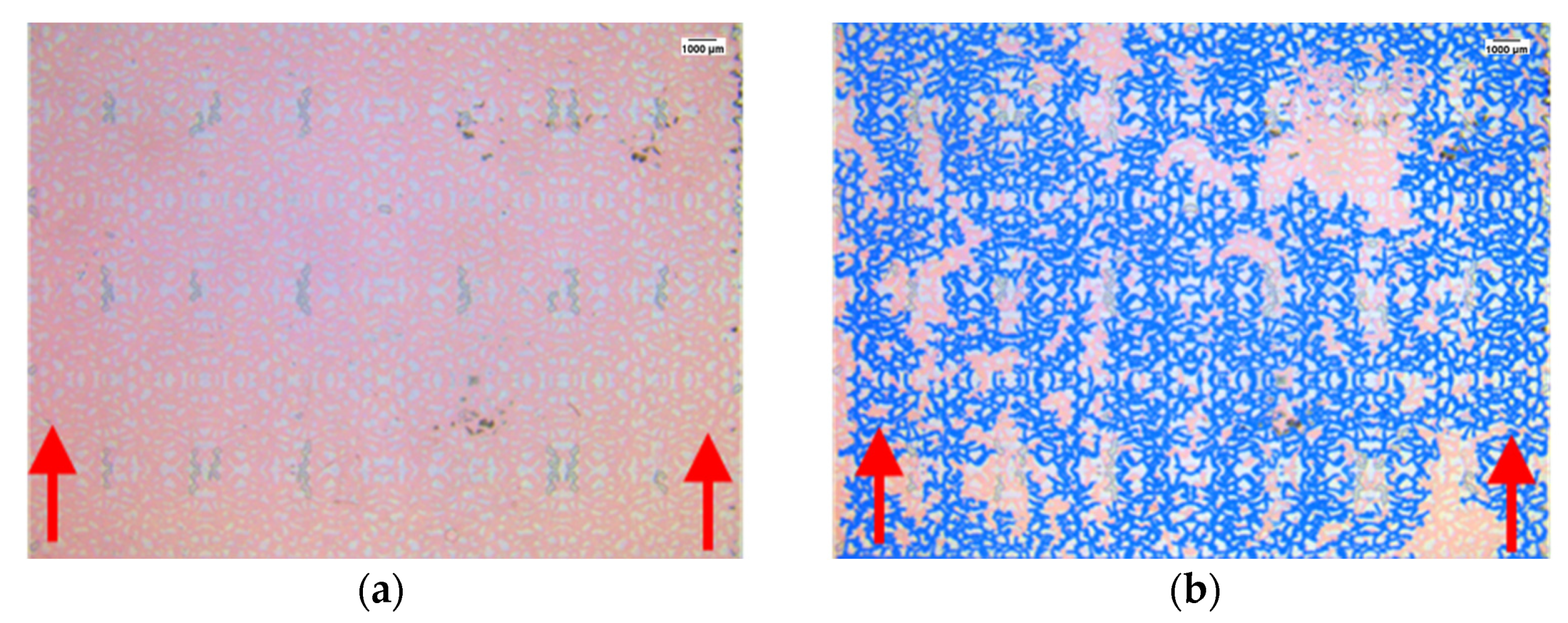Processes 10 00112 g005