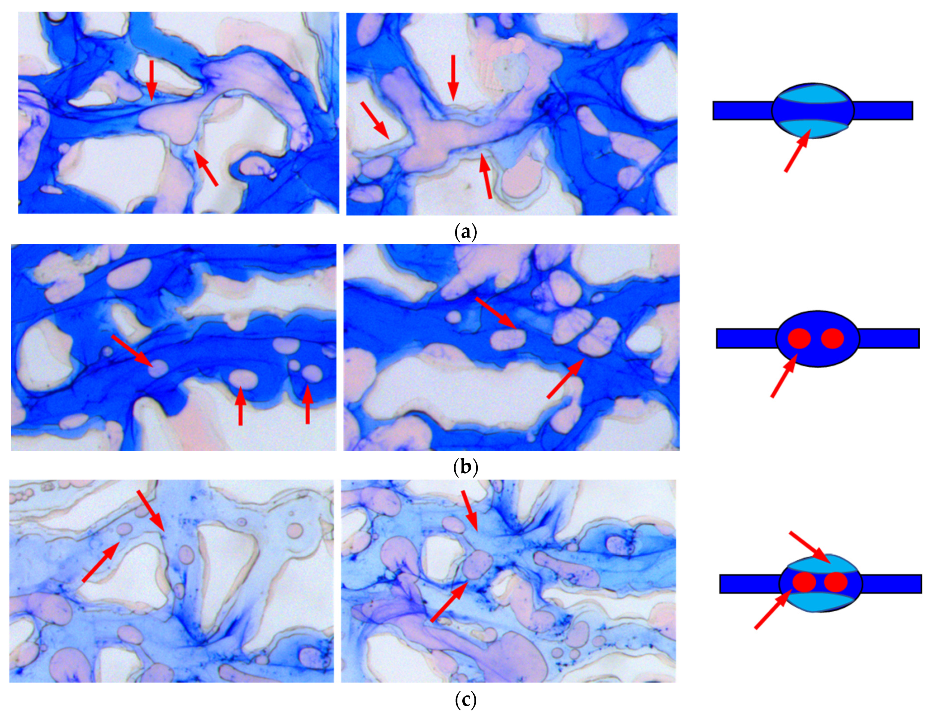 Processes 10 00112 g016