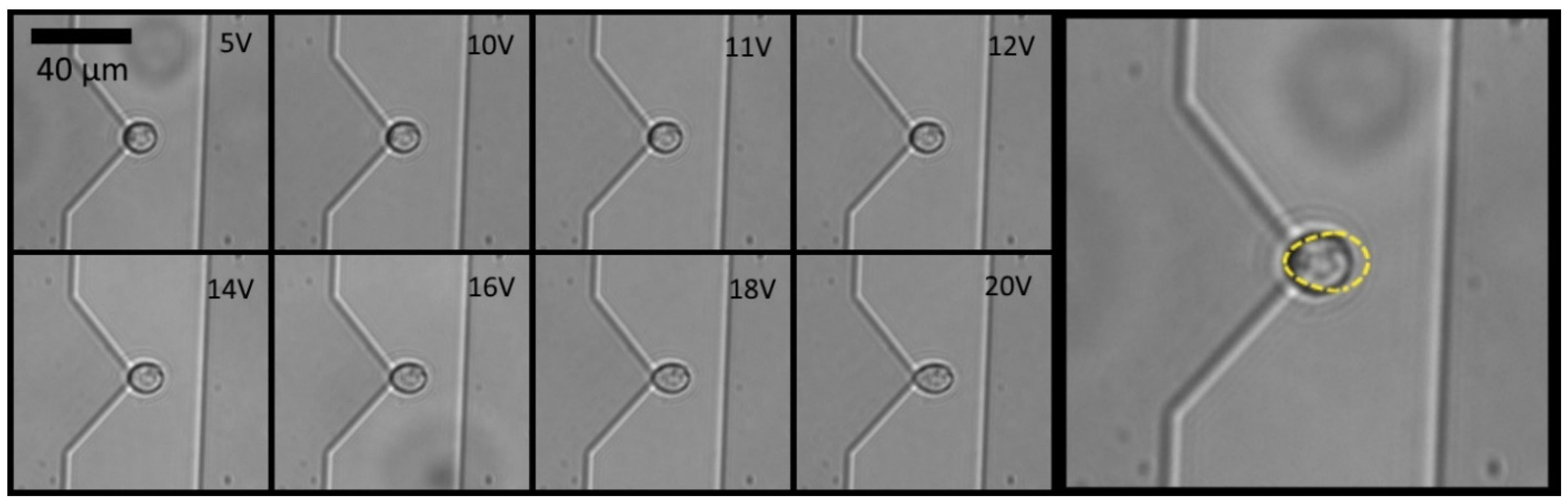 Processes 10 00134 g002 Processes 10 00134 g002