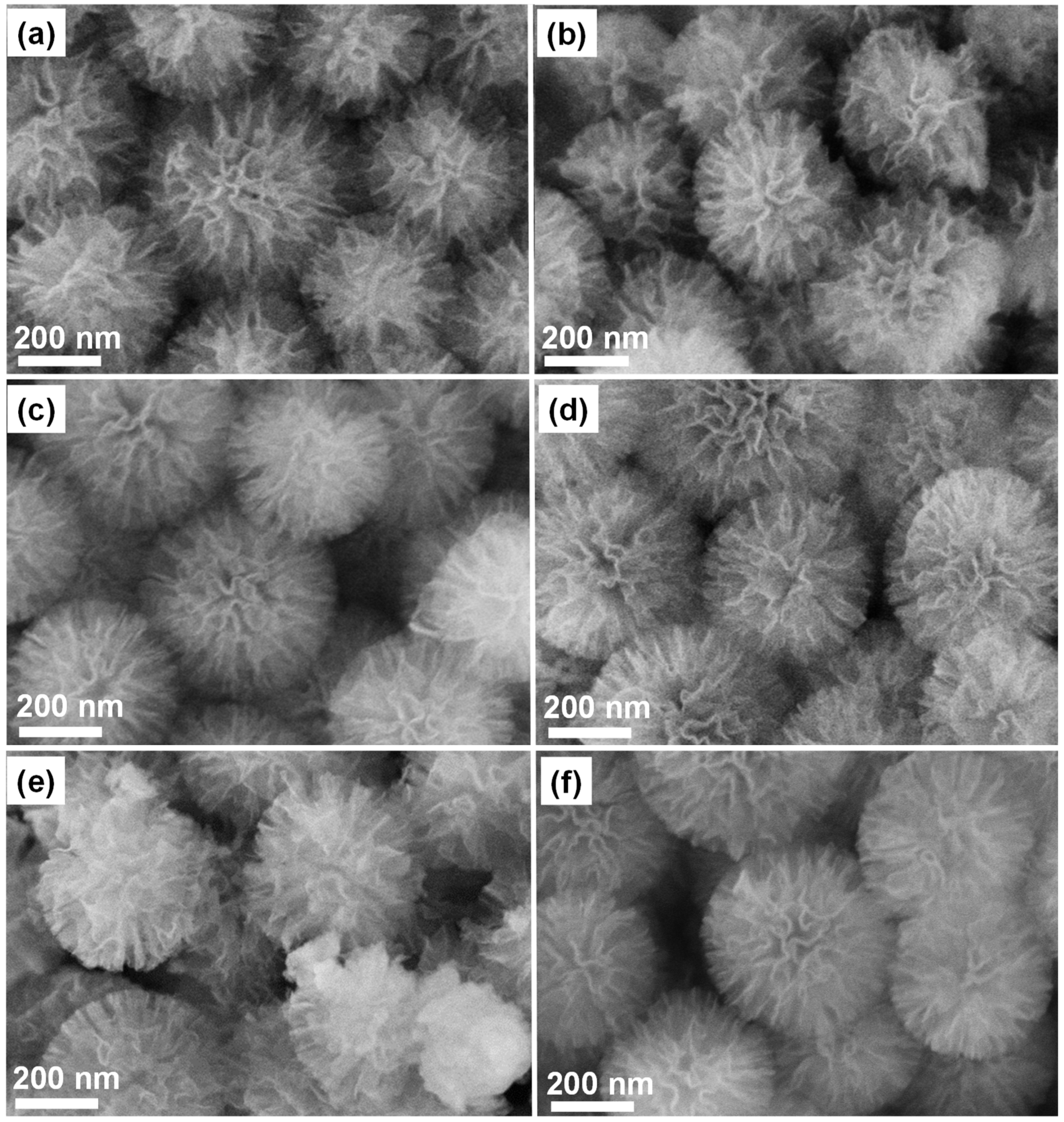 Processes 10 00145 g001