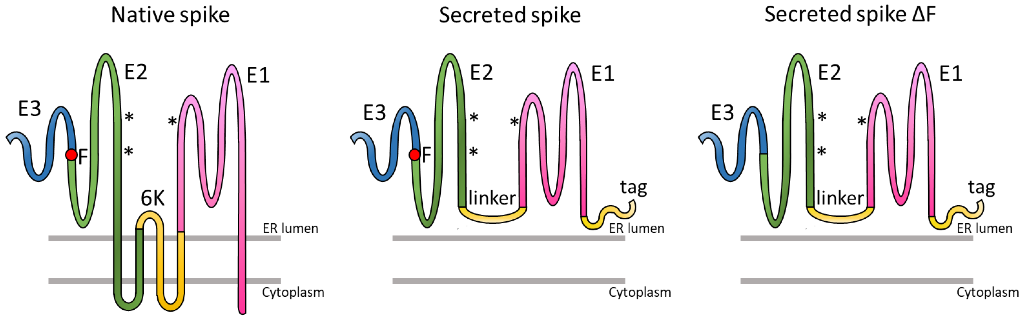 Processes 10 00162 g001 Processes 10 00162 g001