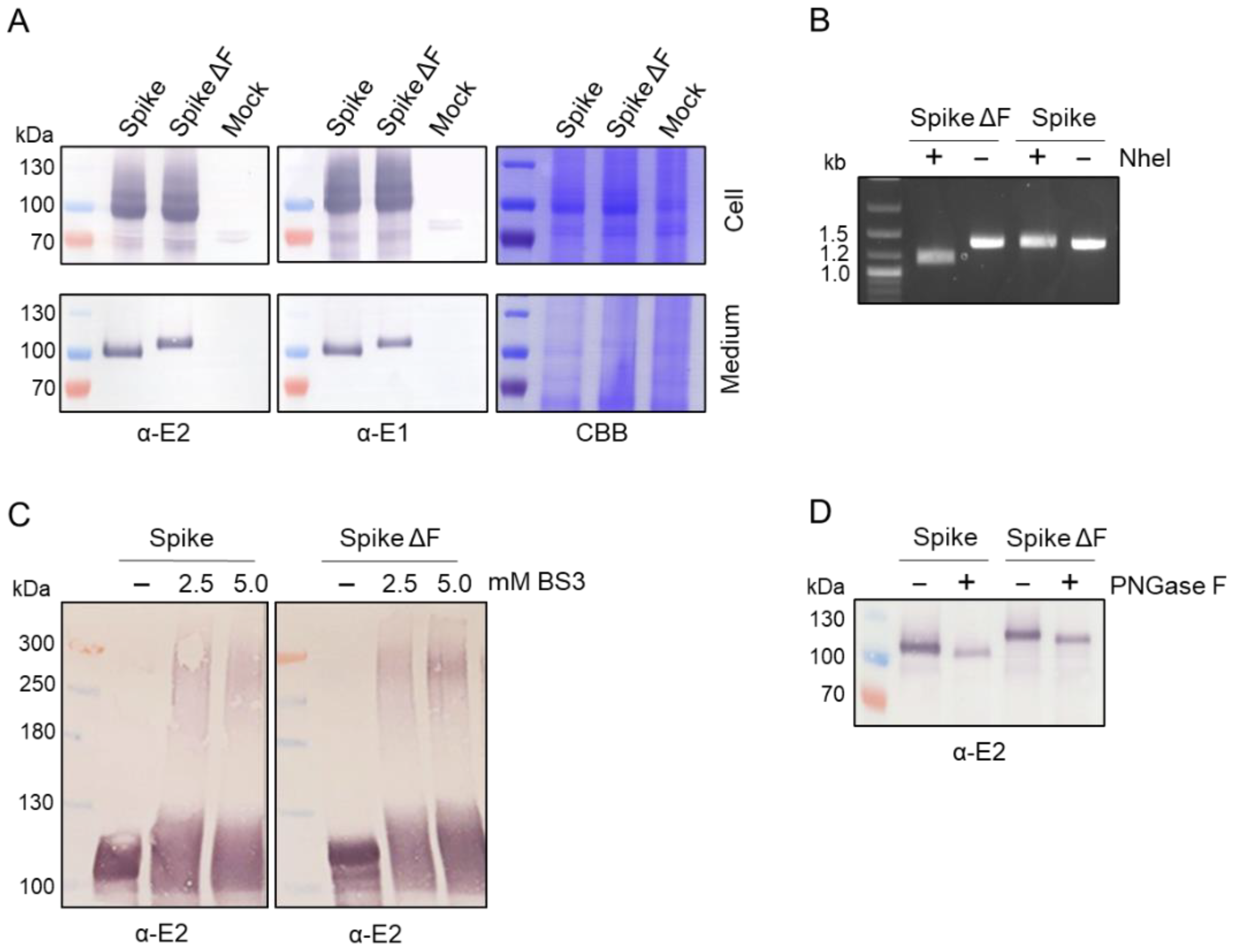 Processes 10 00162 g002 Processes 10 00162 g002