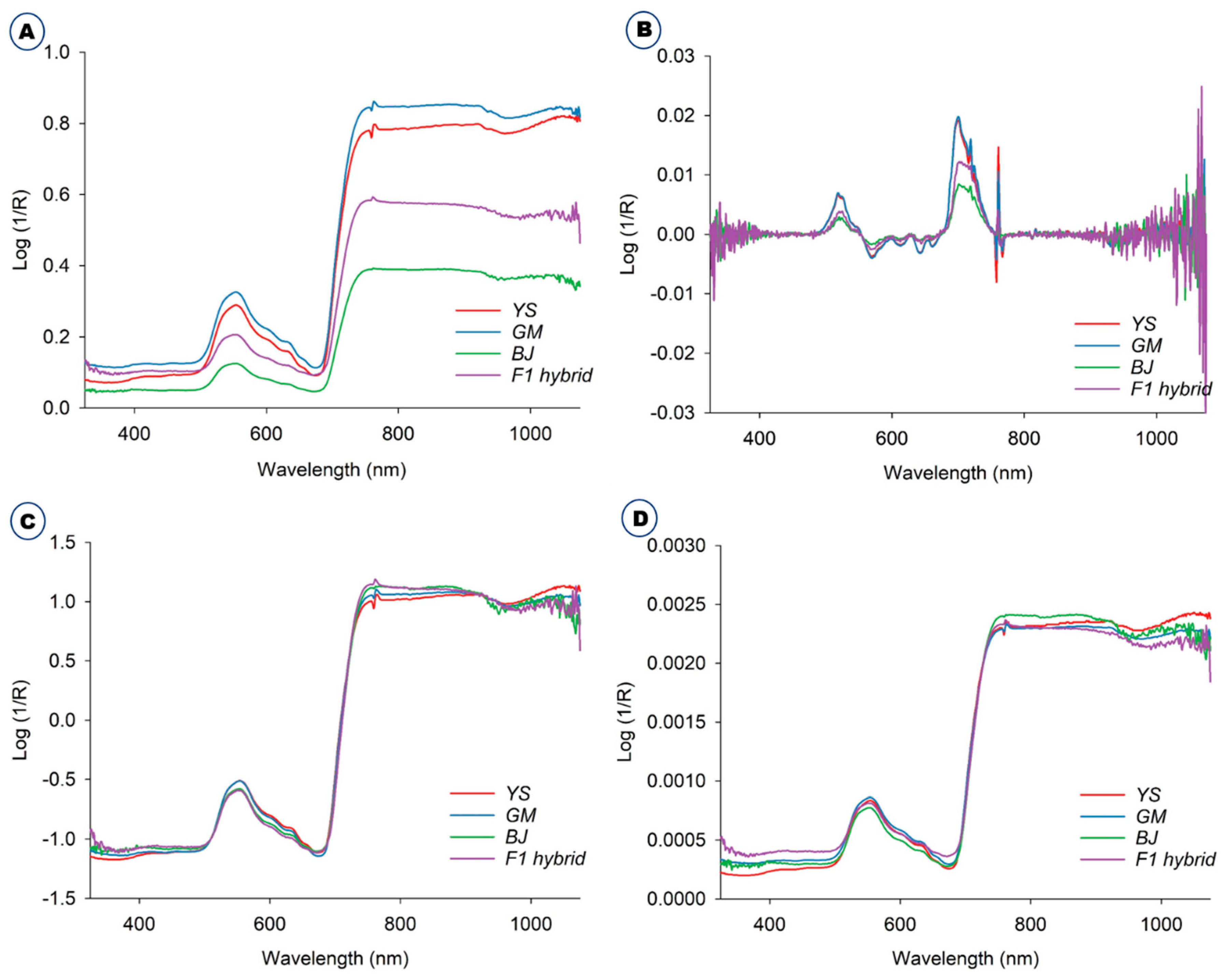 Processes 10 00240 g001