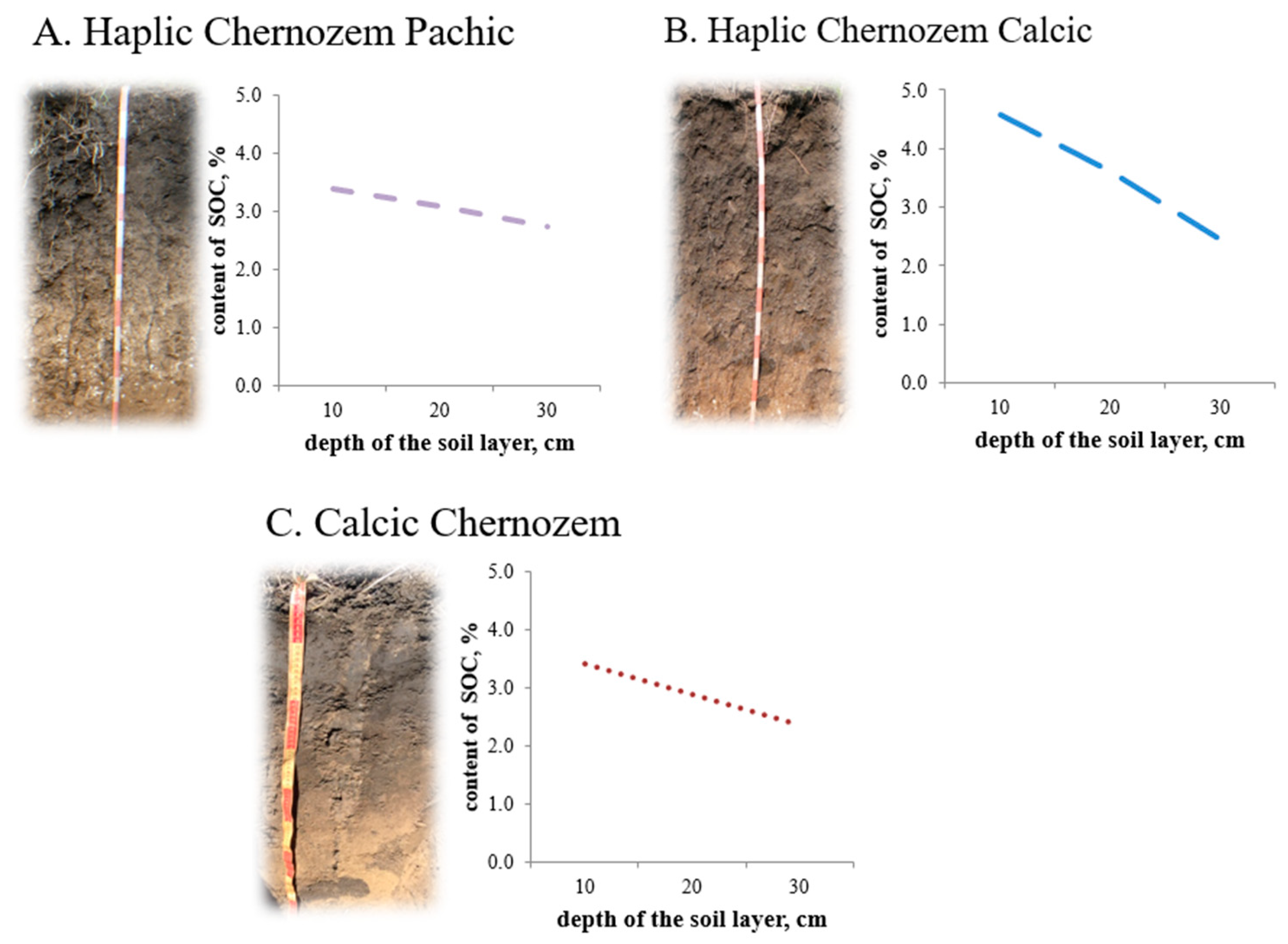 Processes 10 00244 g002