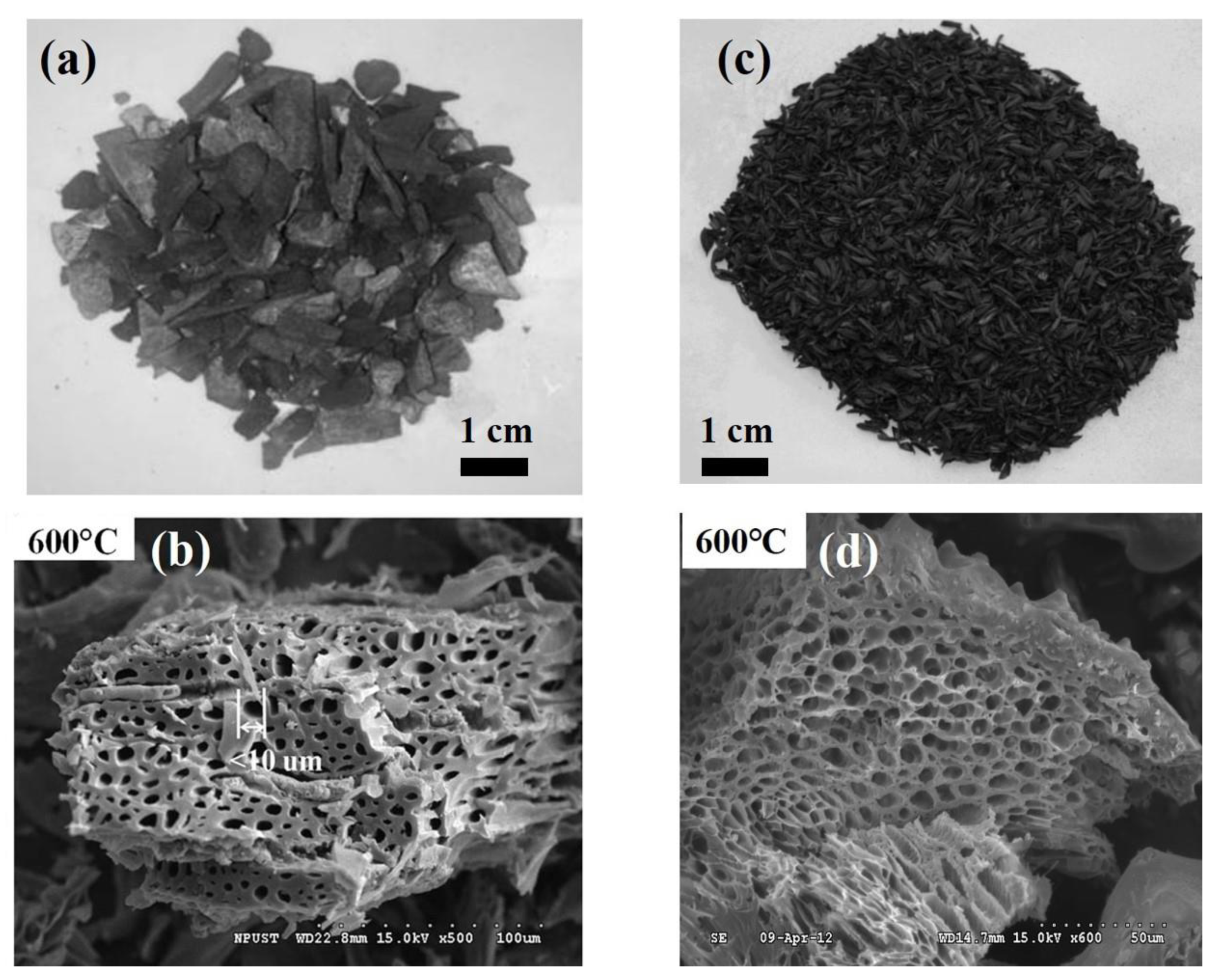 Processes 10 00306 g002
