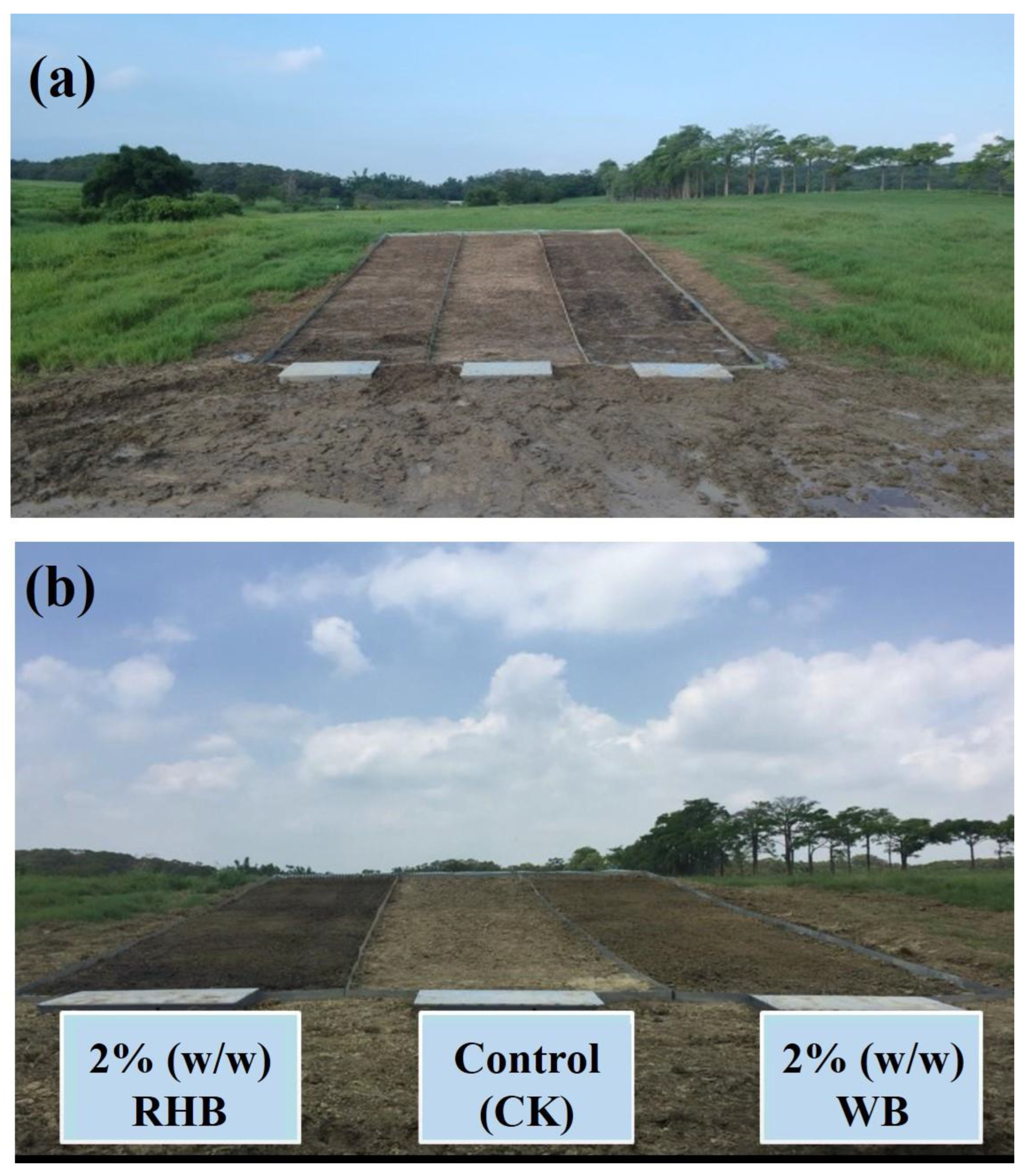 Processes 10 00306 g003
