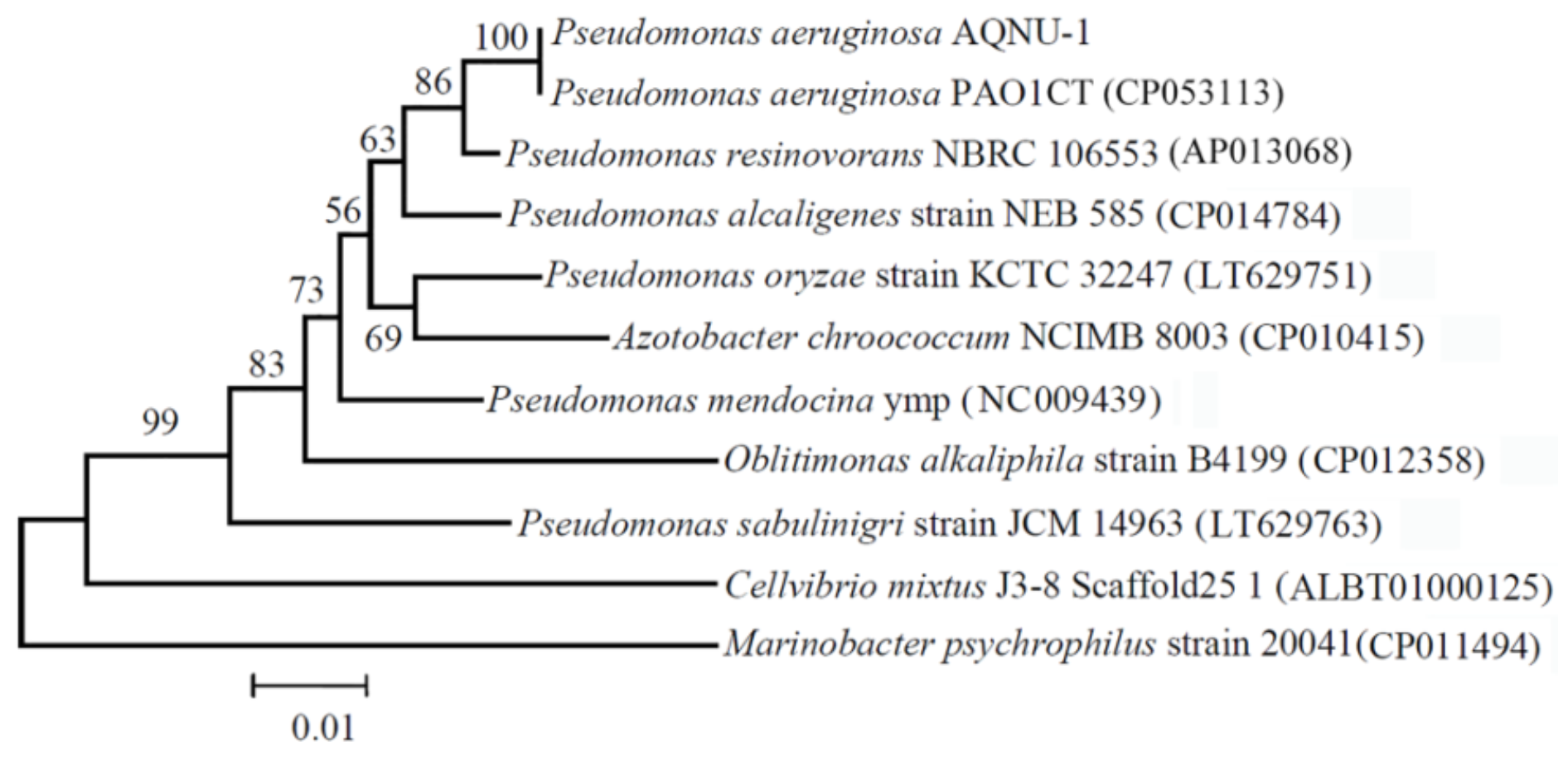 Processes 10 00307 g002