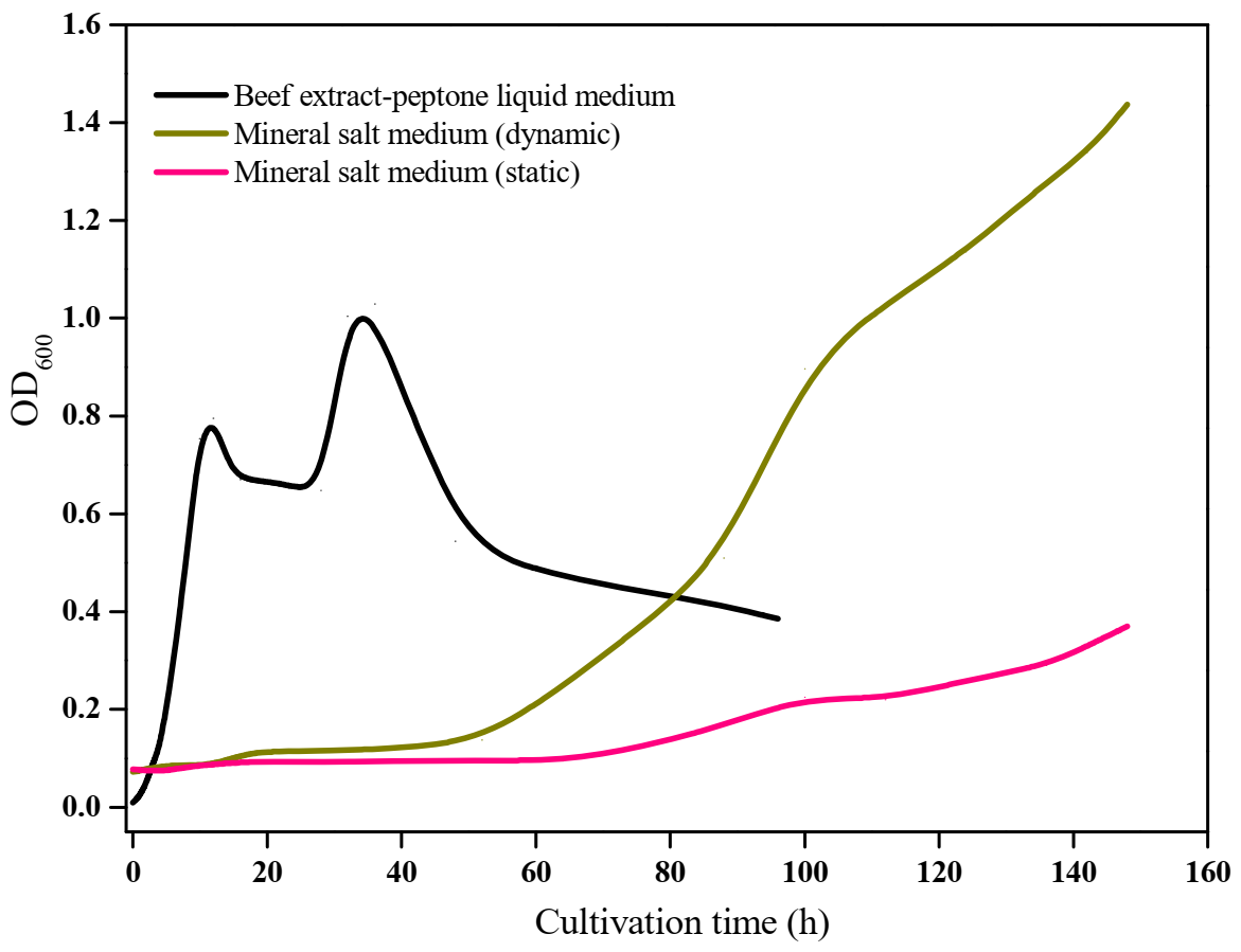 Processes 10 00307 g003