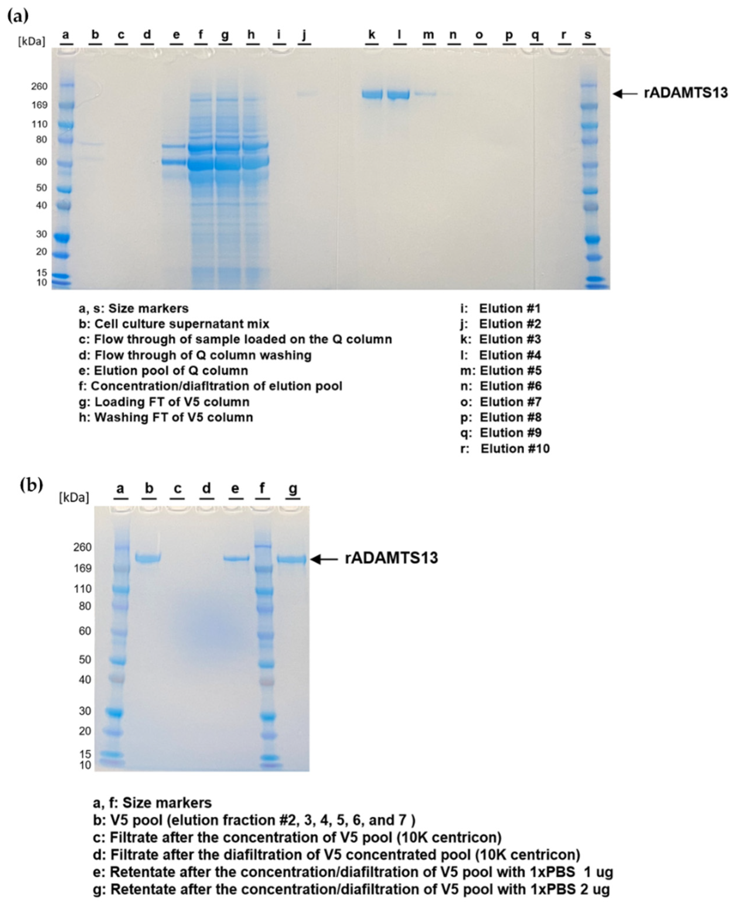 Processes 10 00322 g005