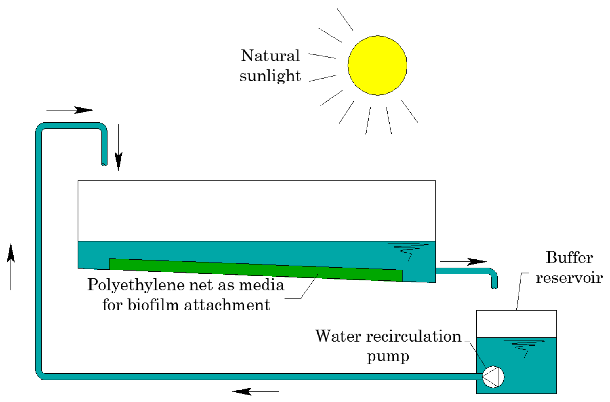 Processes 10 00399 g006 550