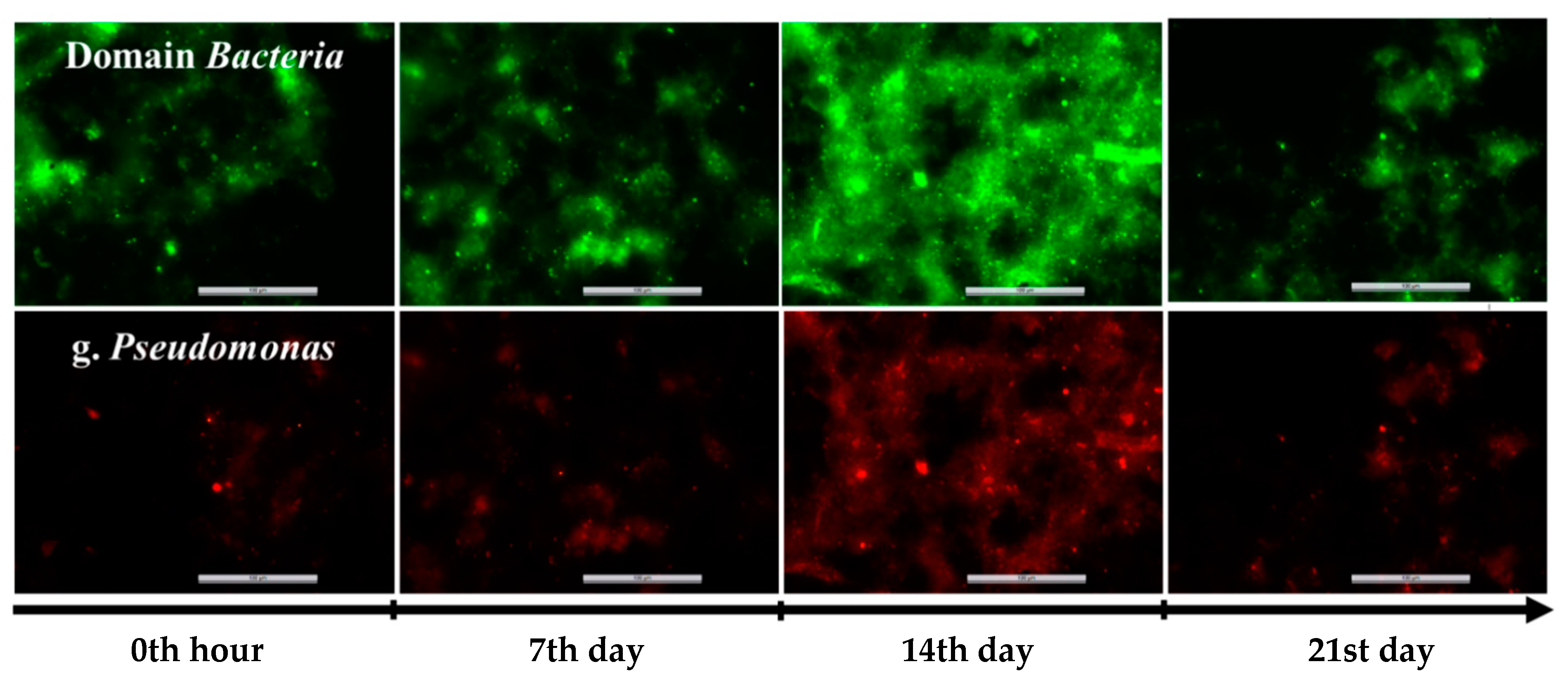 Processes 10 00460 g010 Processes 10 00460 g010