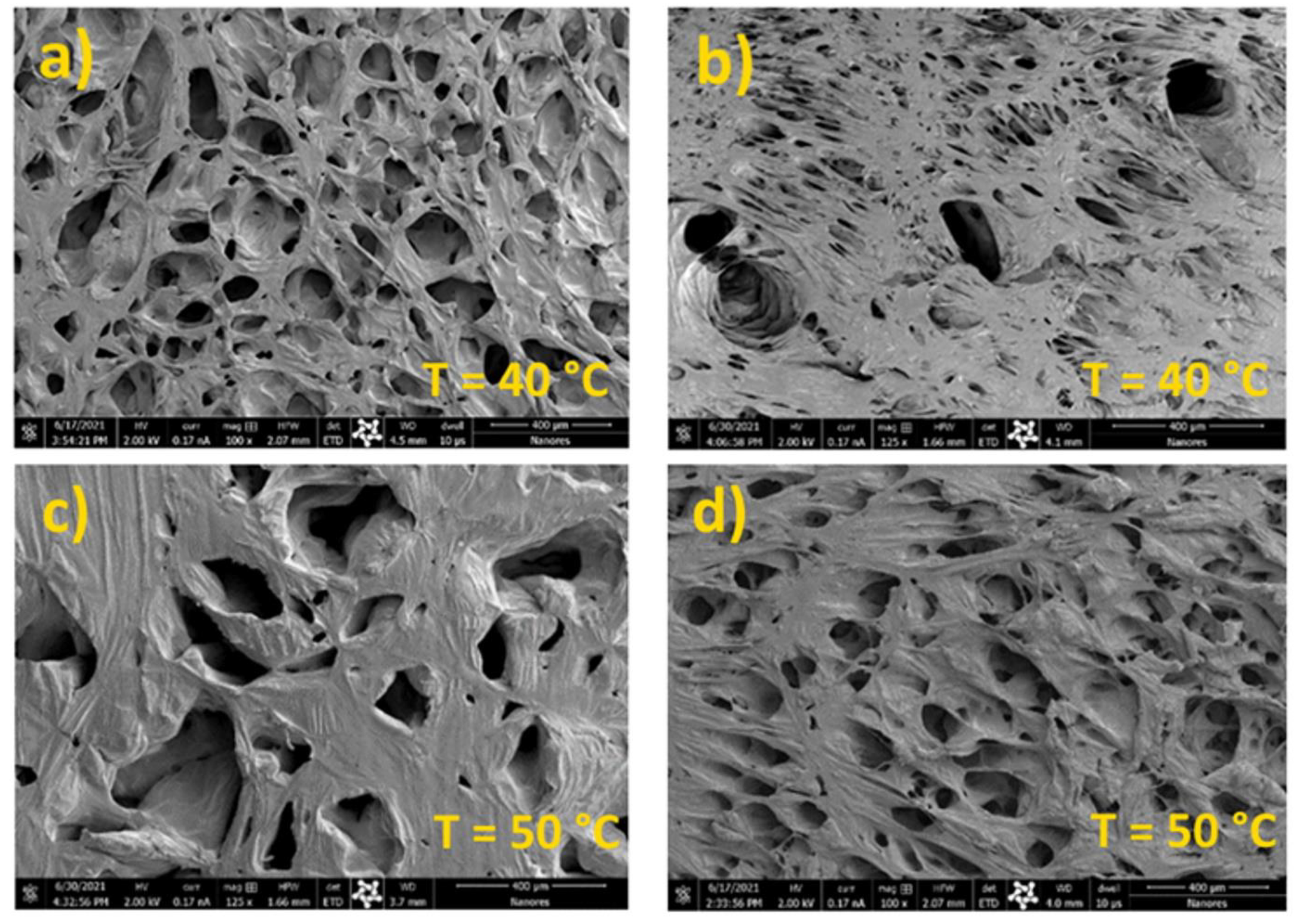Processes 10 00482 g006
