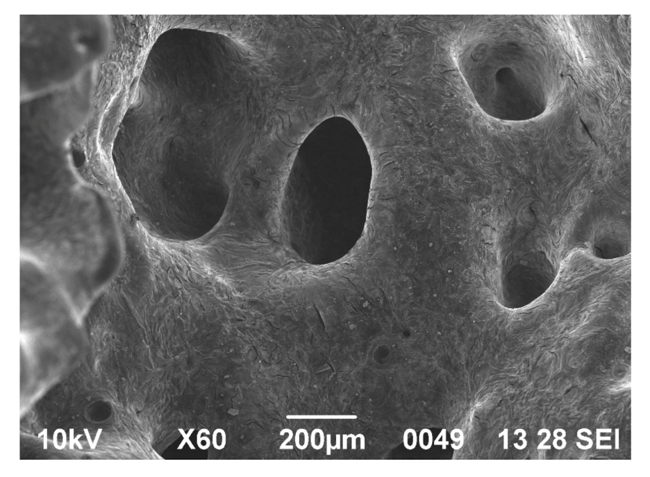 Processes 10 00570 g006