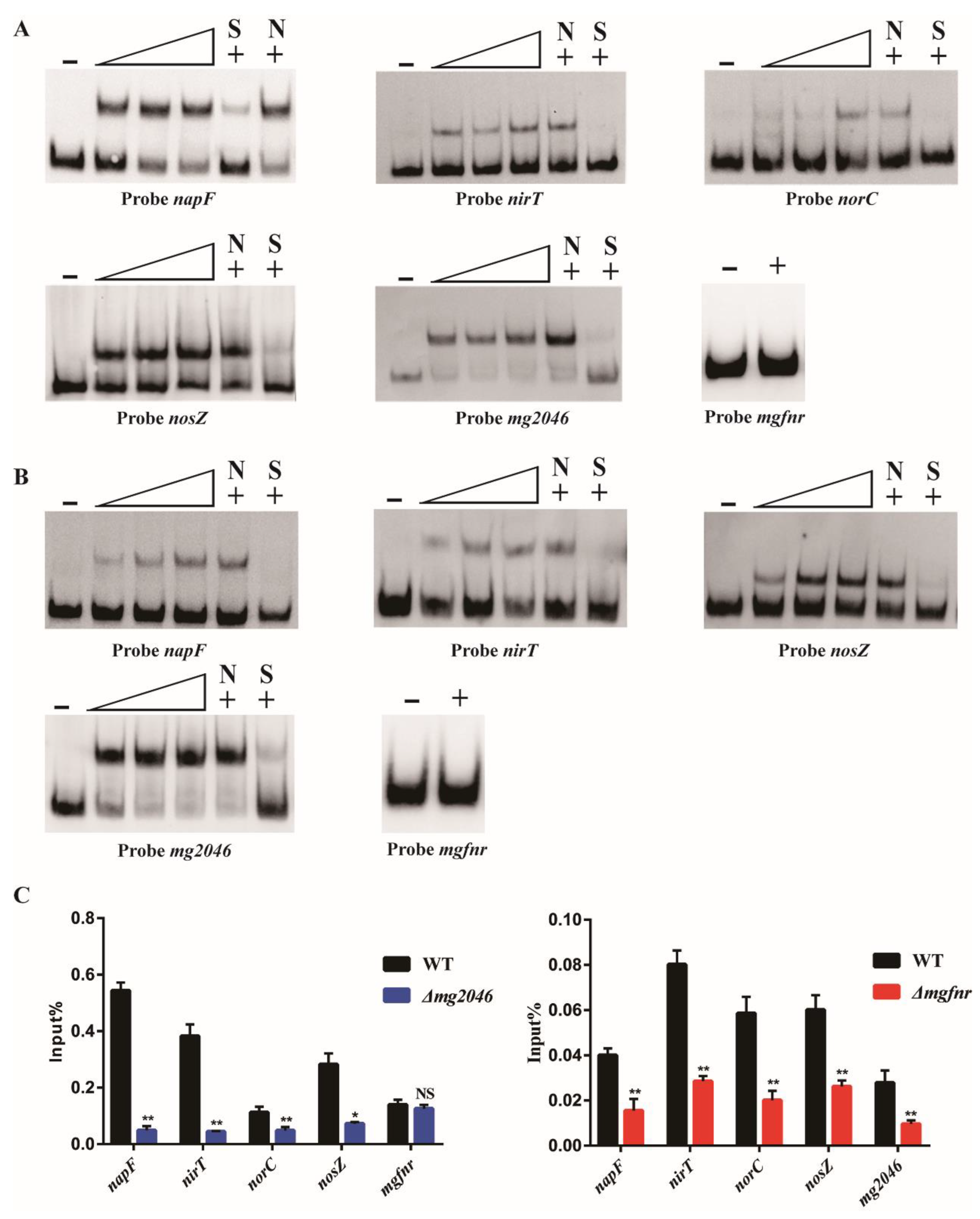 Processes 10 00591 g001
