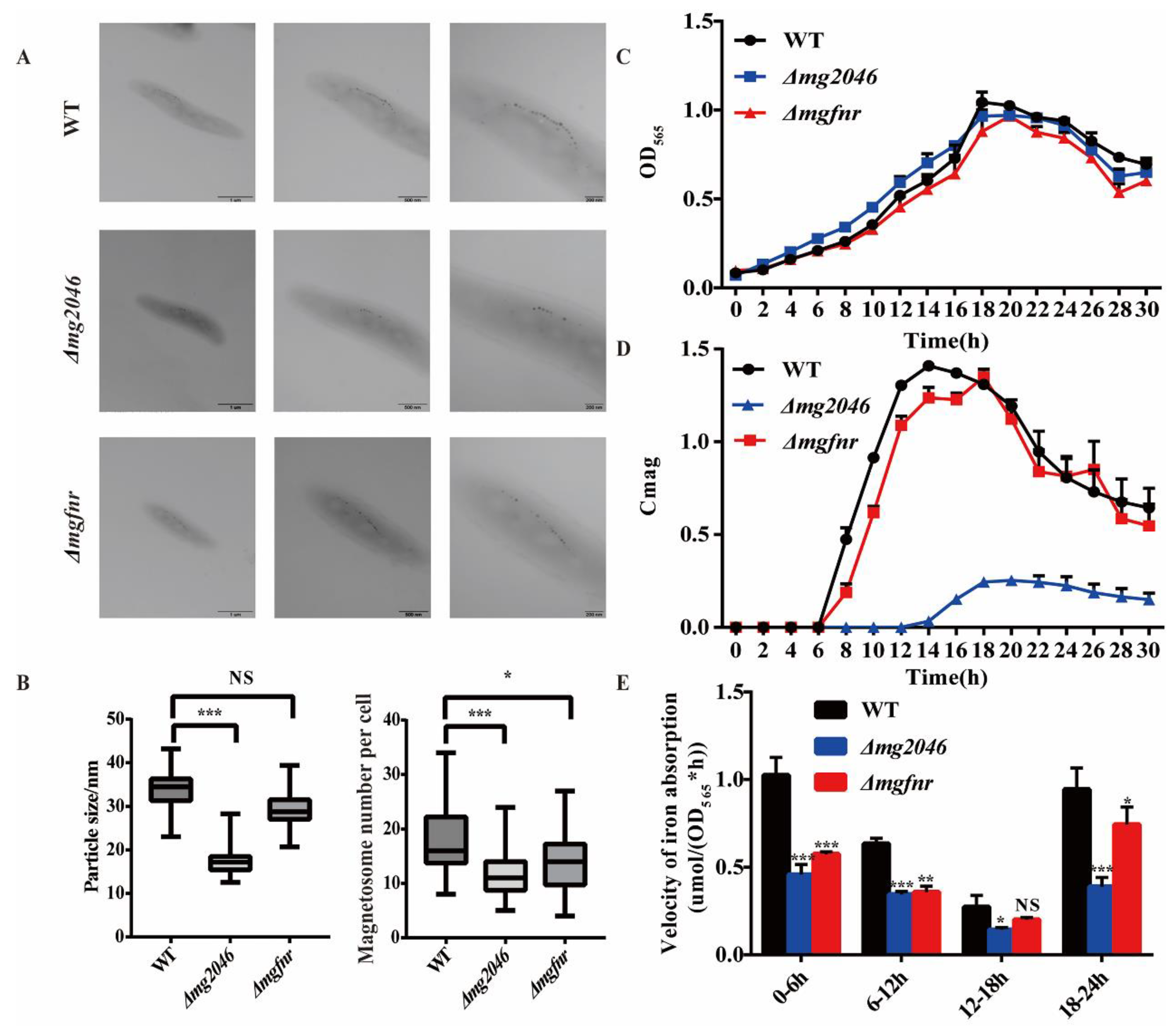 Processes 10 00591 g003