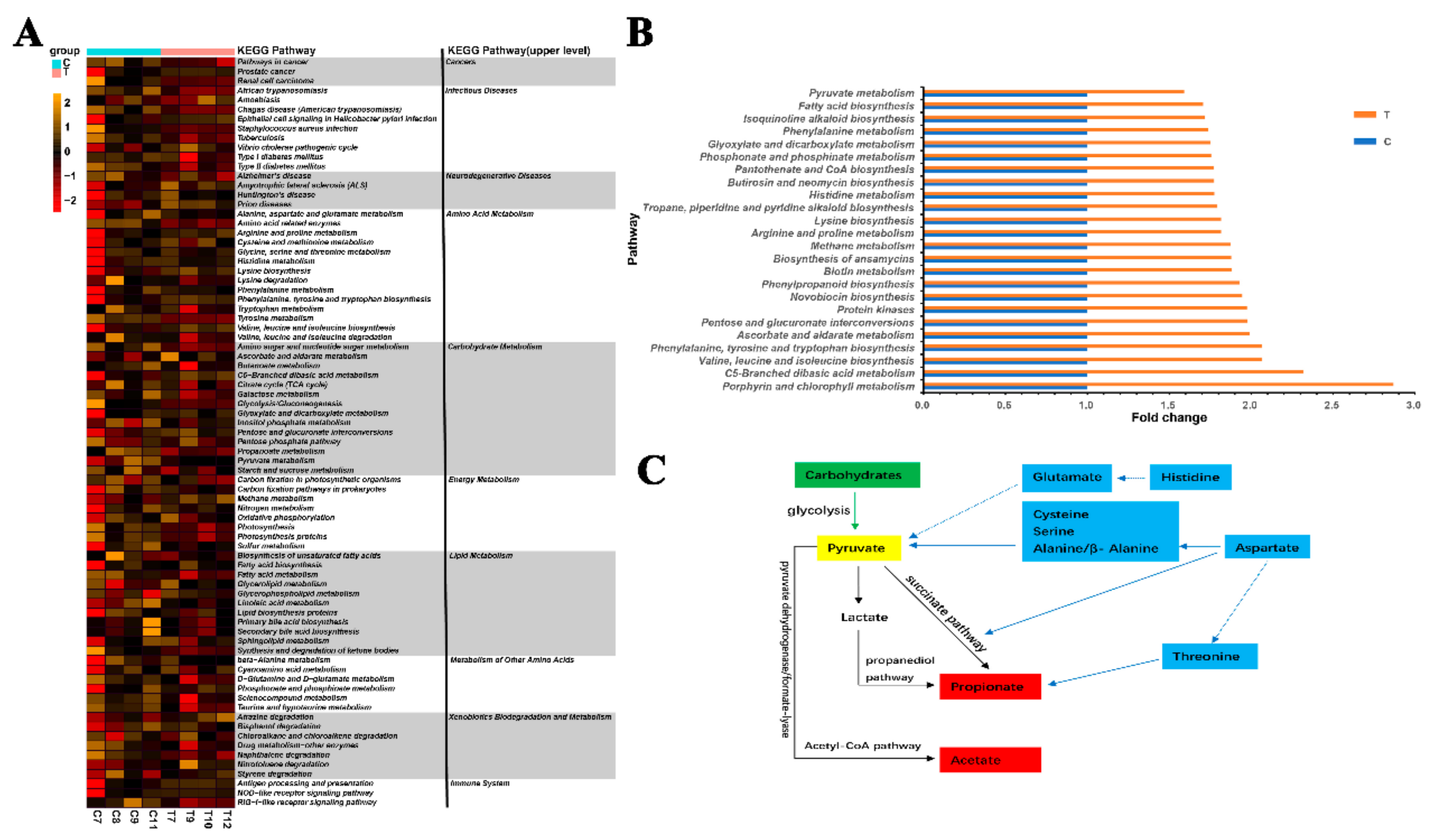 Processes 10 00604 g004