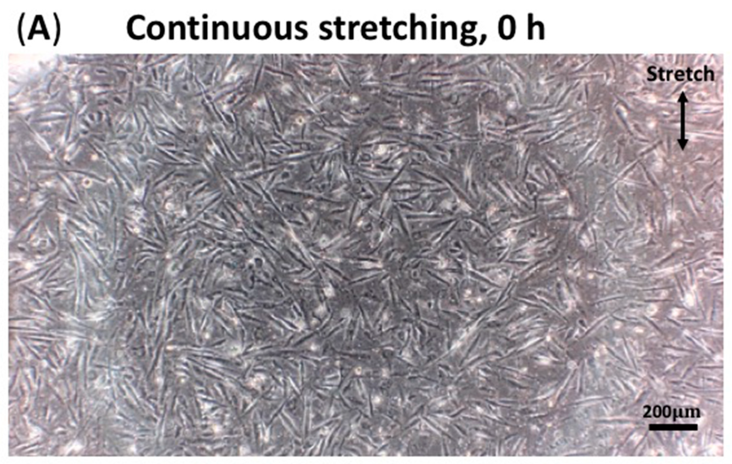 Processes 10 00605 g005a