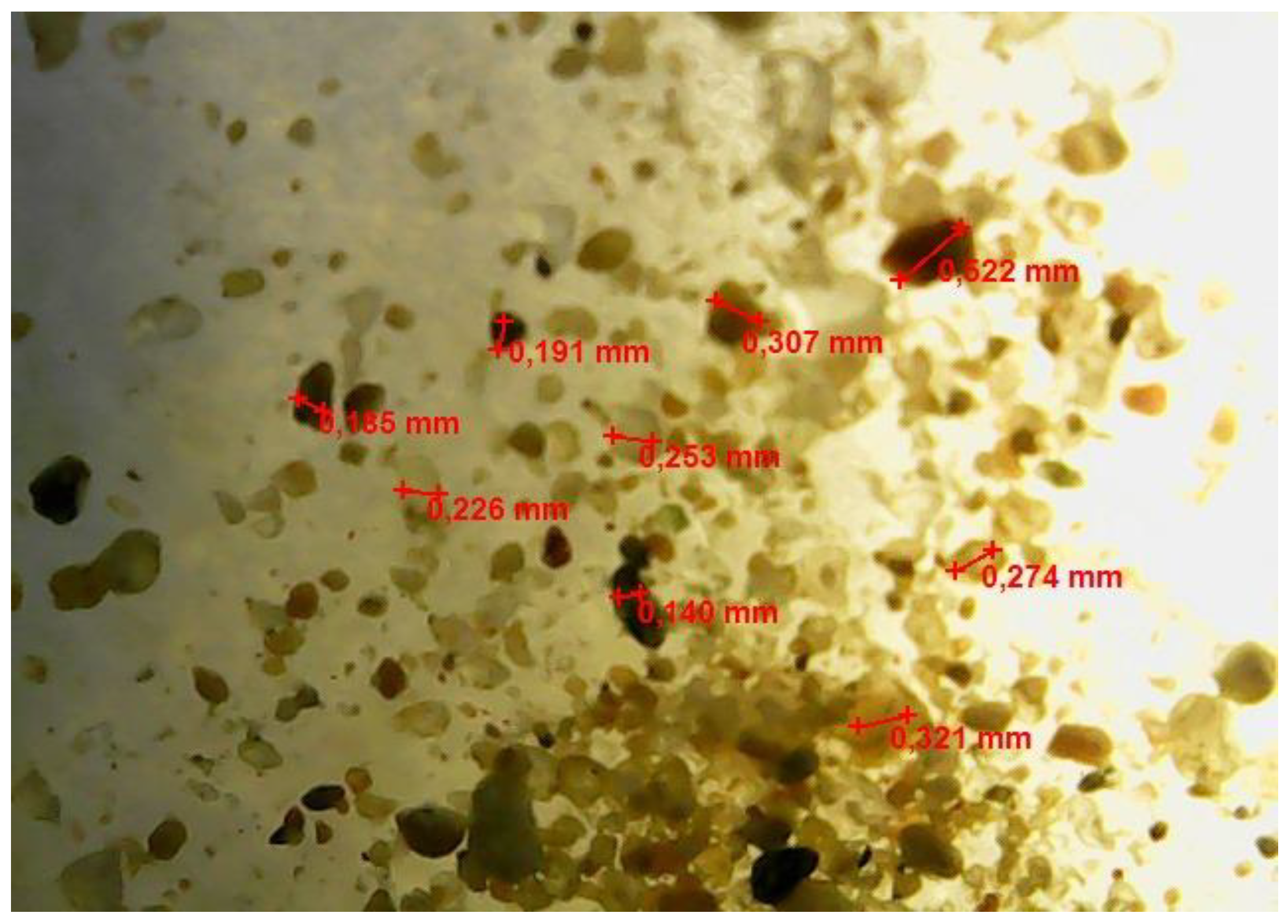 Processes 10 00811 g001