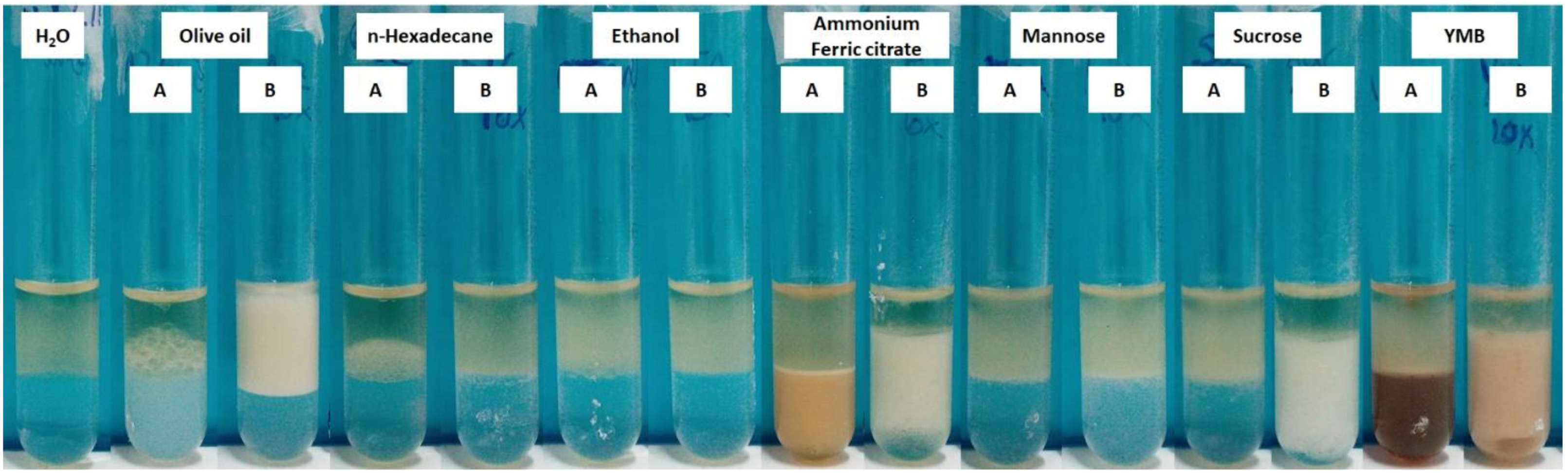 Processes 10 00845 g002 Processes 10 00845 g002