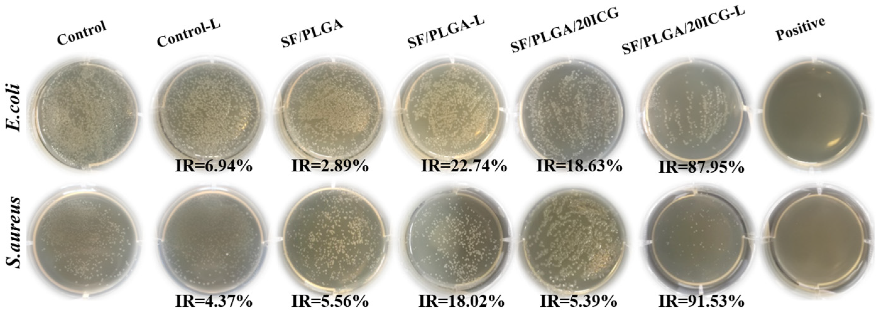 Processes 10 00850 g005