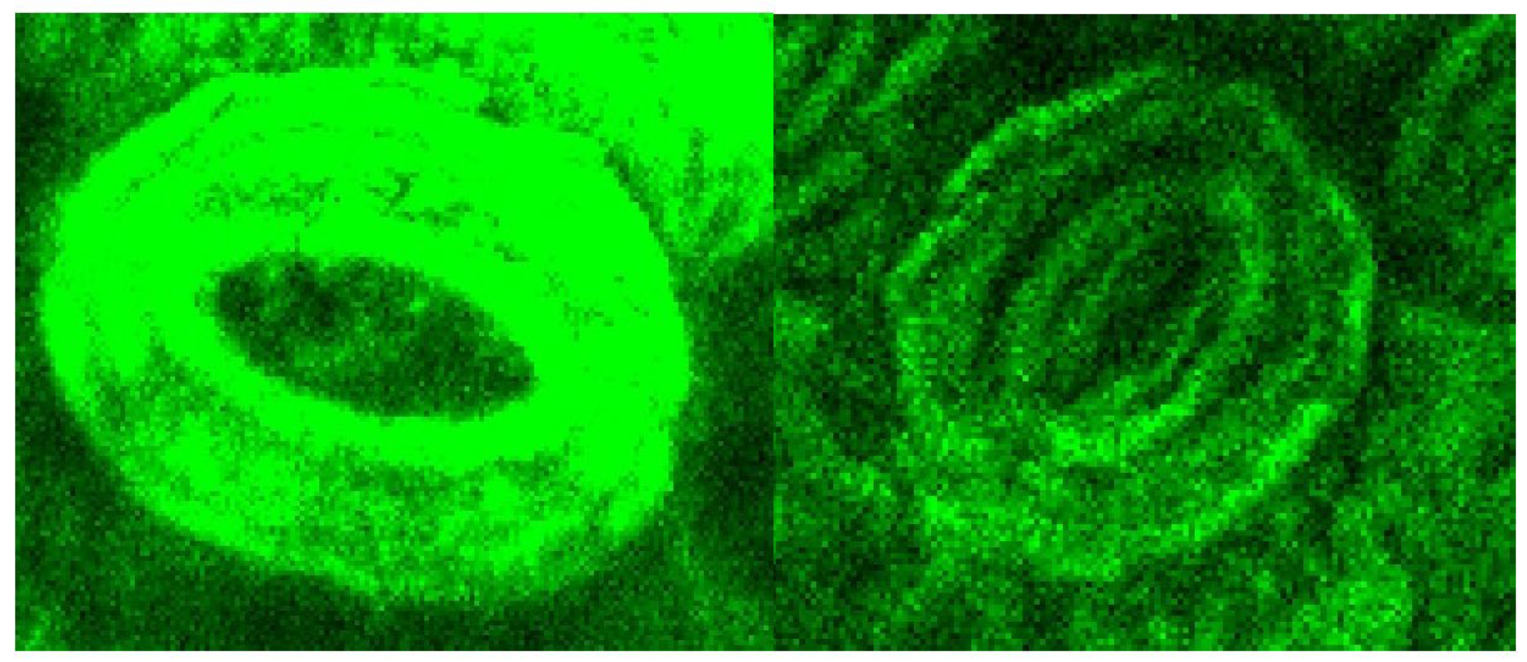 Processes 10 00943 g007