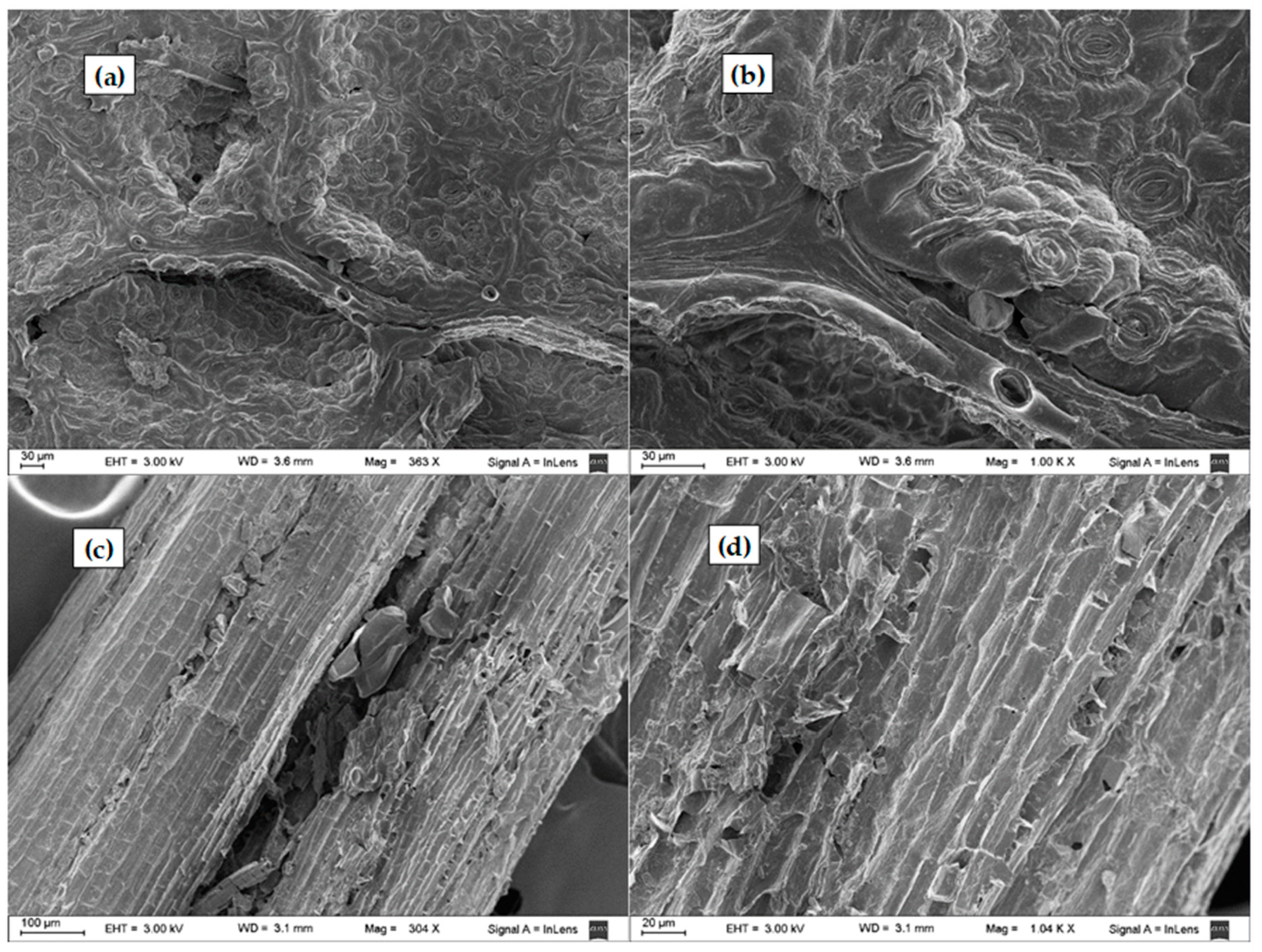 Processes 10 00943 g008