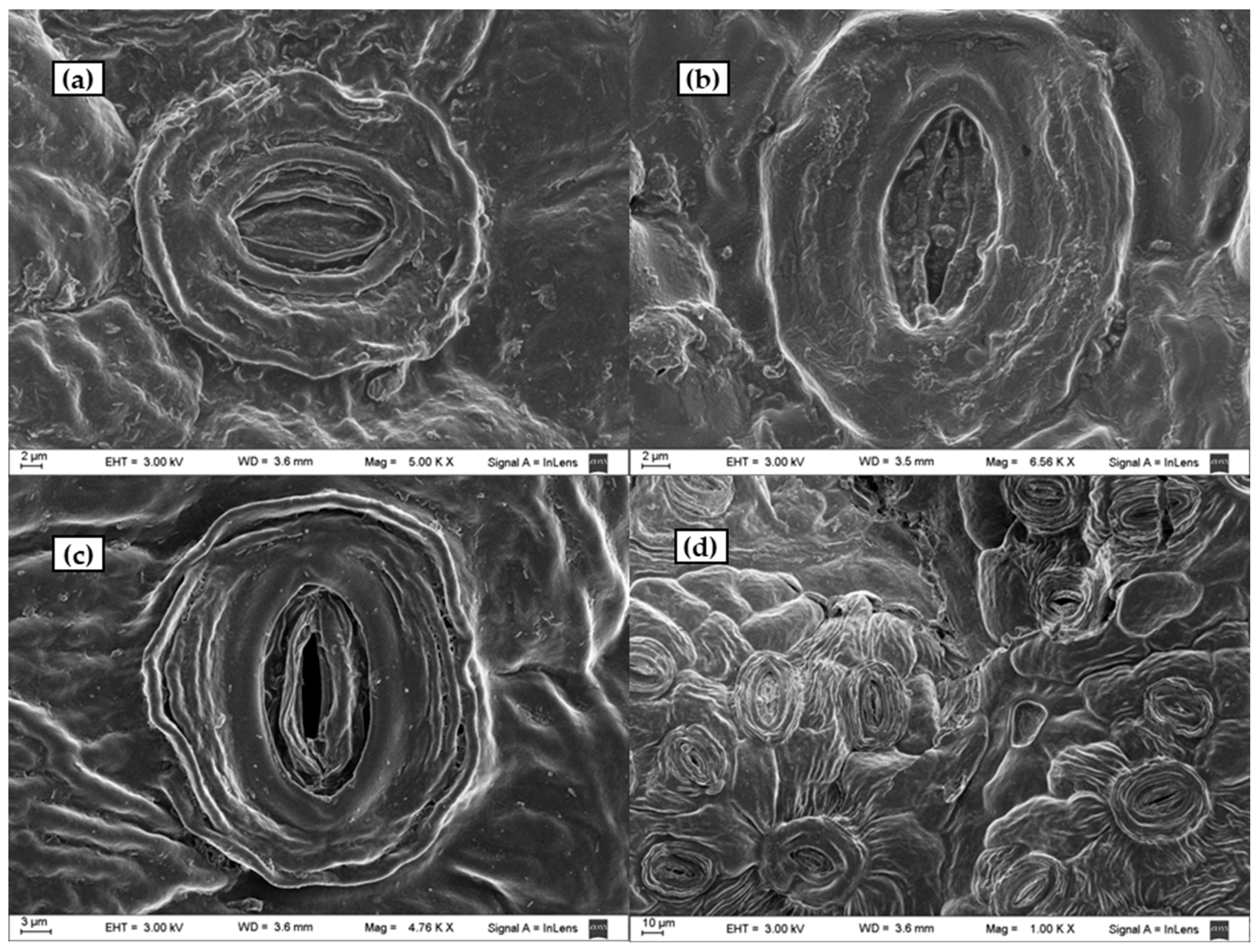 Processes 10 00943 g009