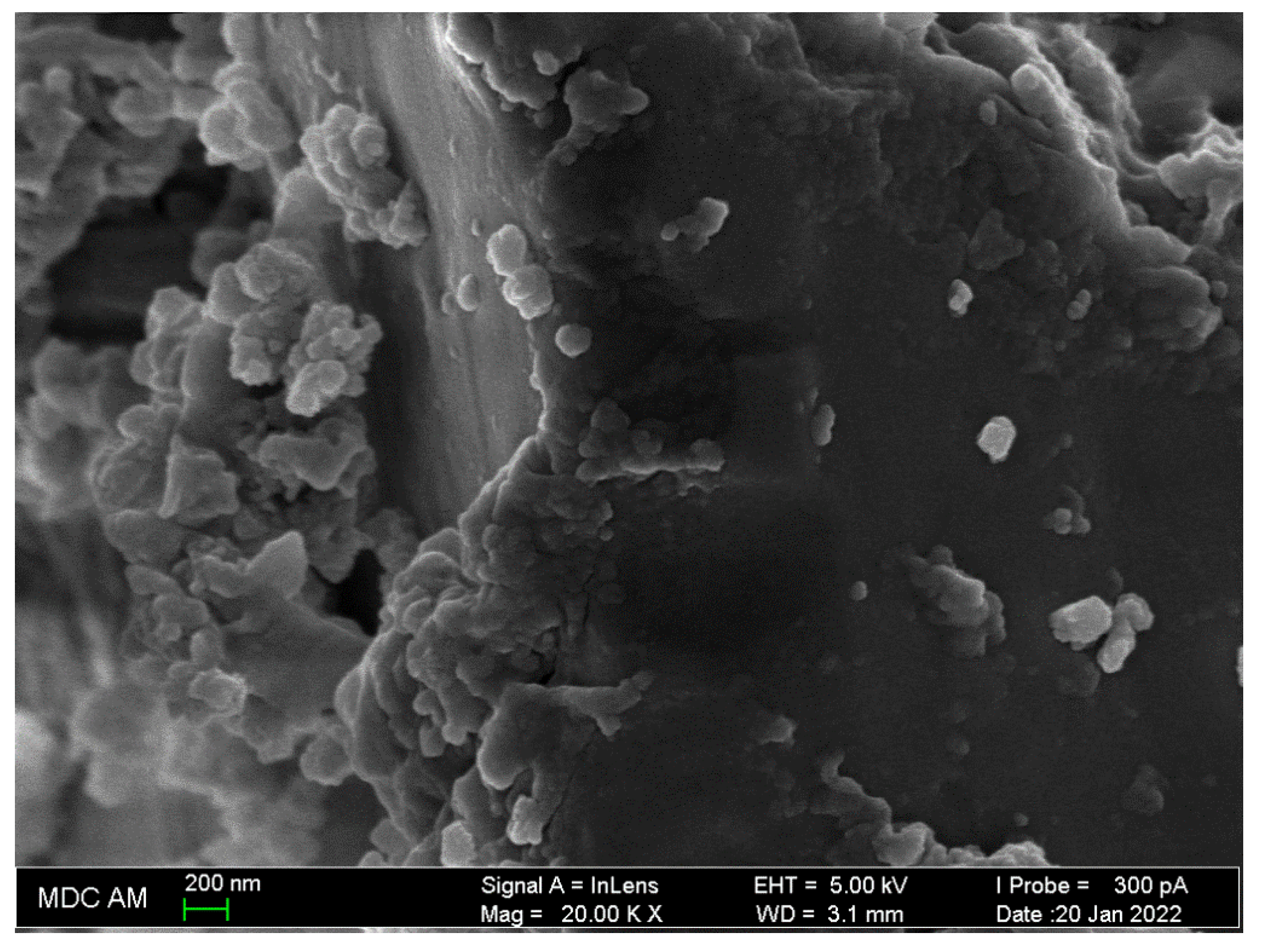 Processes 10 00974 g005