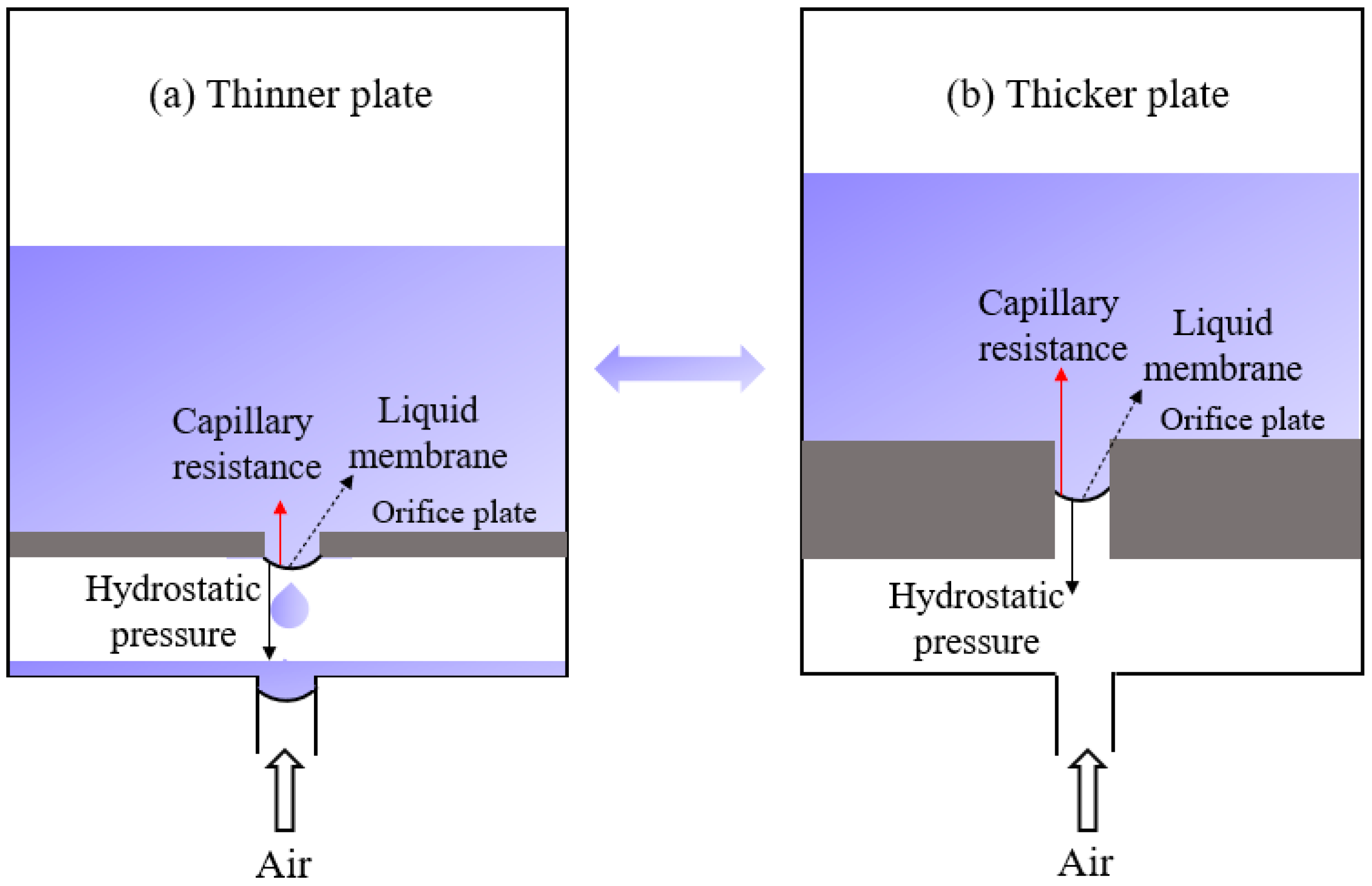 Processes 10 00997 g008