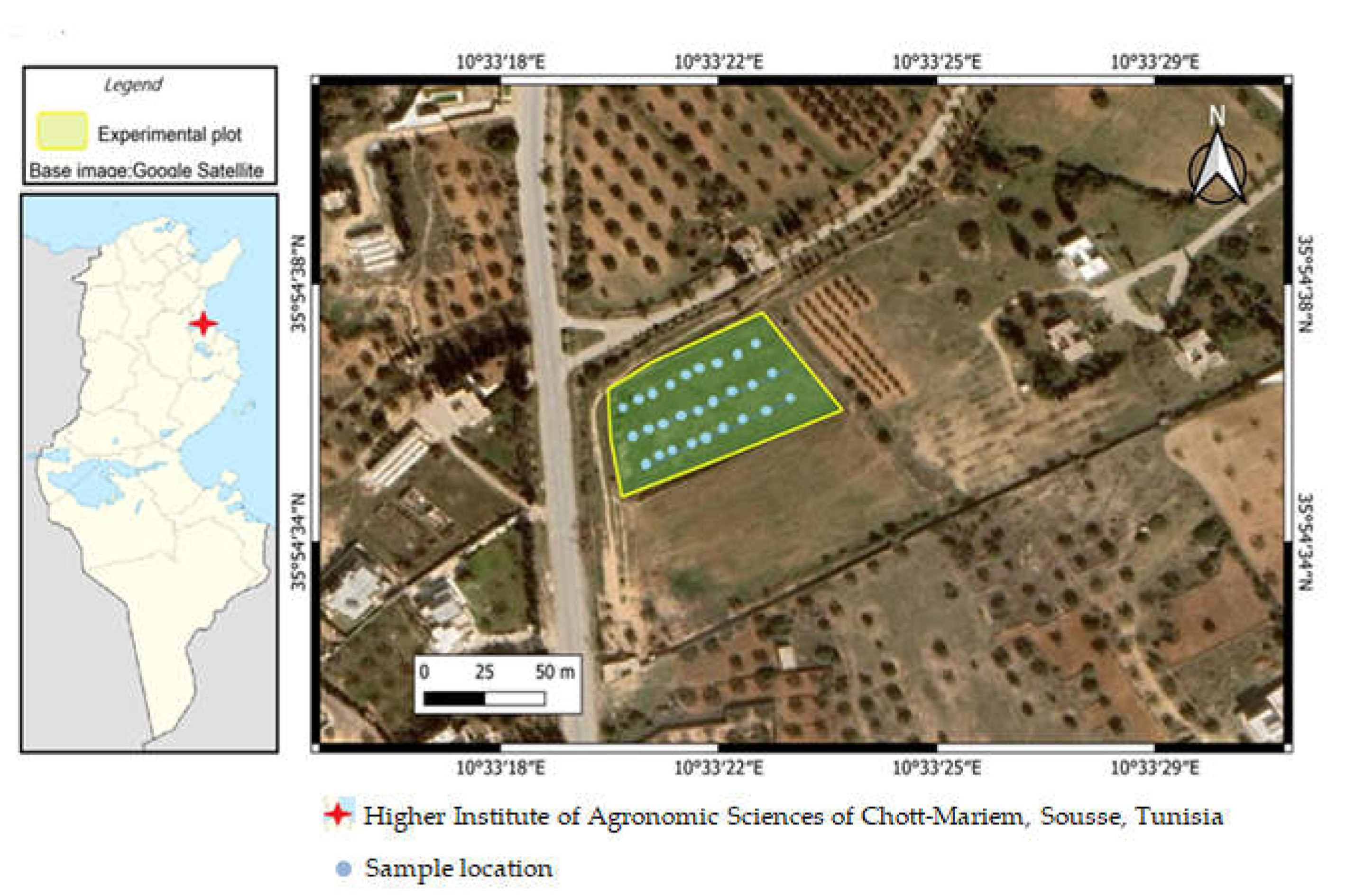 Processes 10 01109 g001