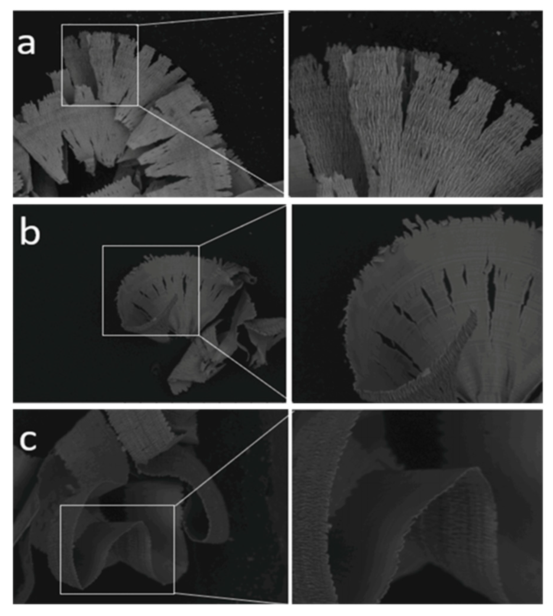 Processes 10 01203 g026 Processes 10 01203 g026