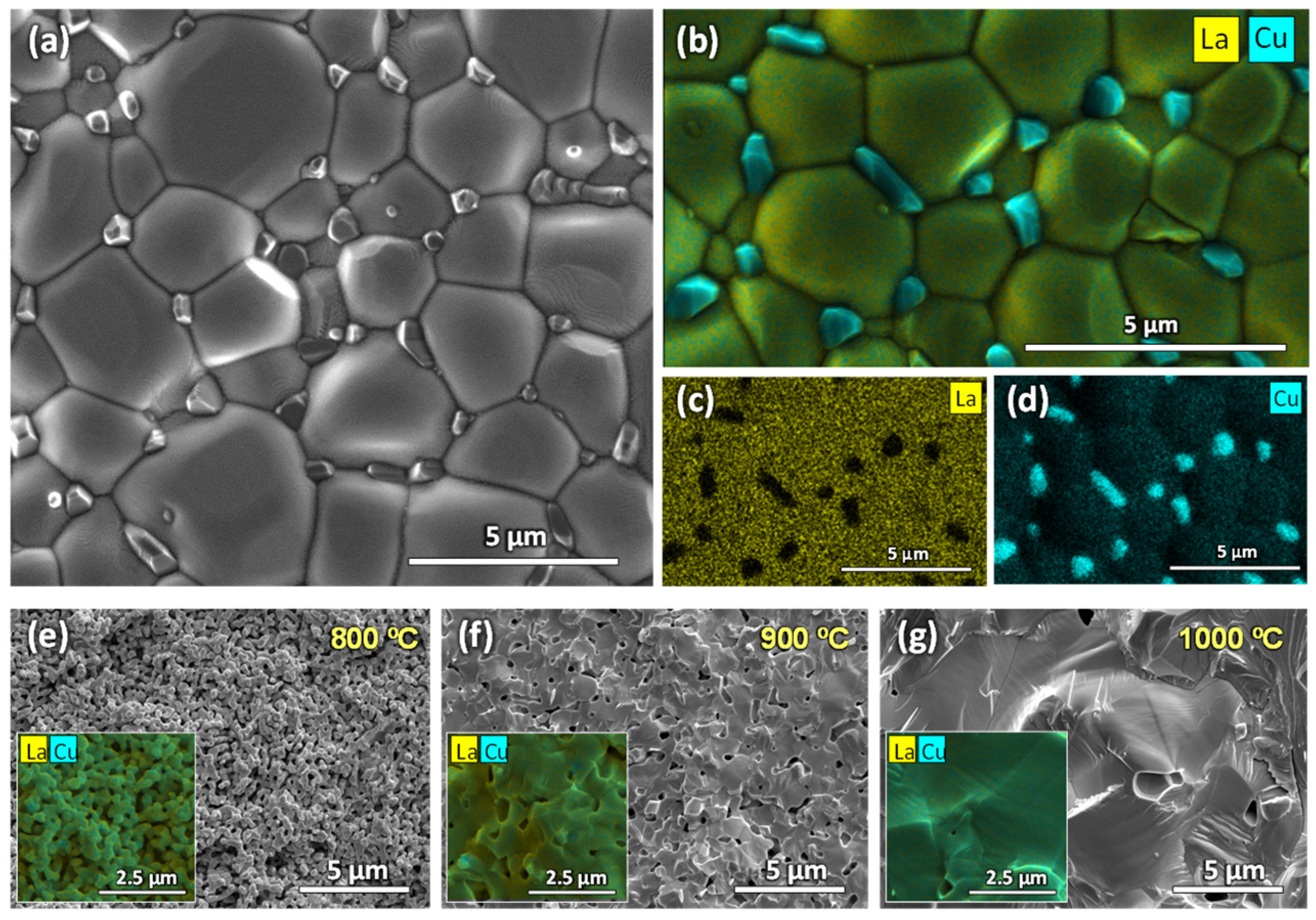 Processes 10 01206 g004