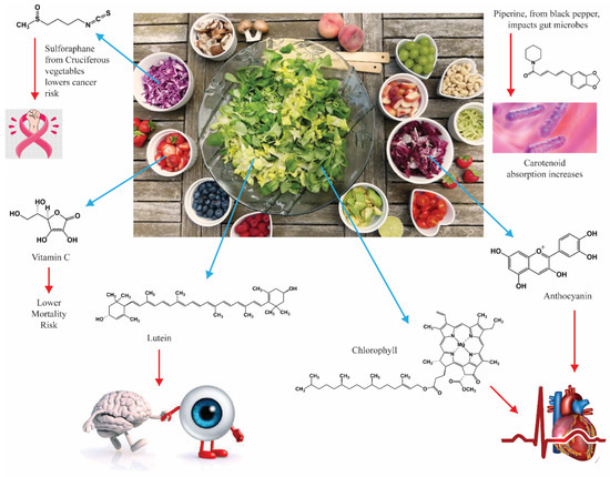 Processes | Free Full-Text | From Foods to Chemotherapeutics: The  Antioxidant Potential of Dietary Phytochemicals