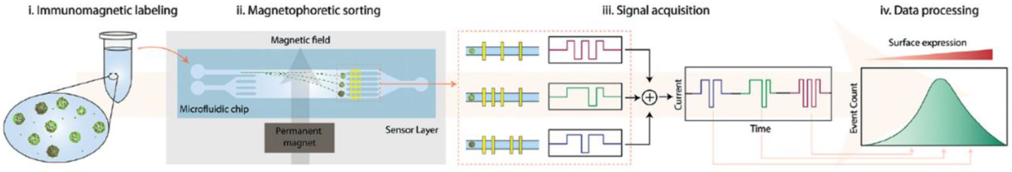 Processes 10 01226 g005