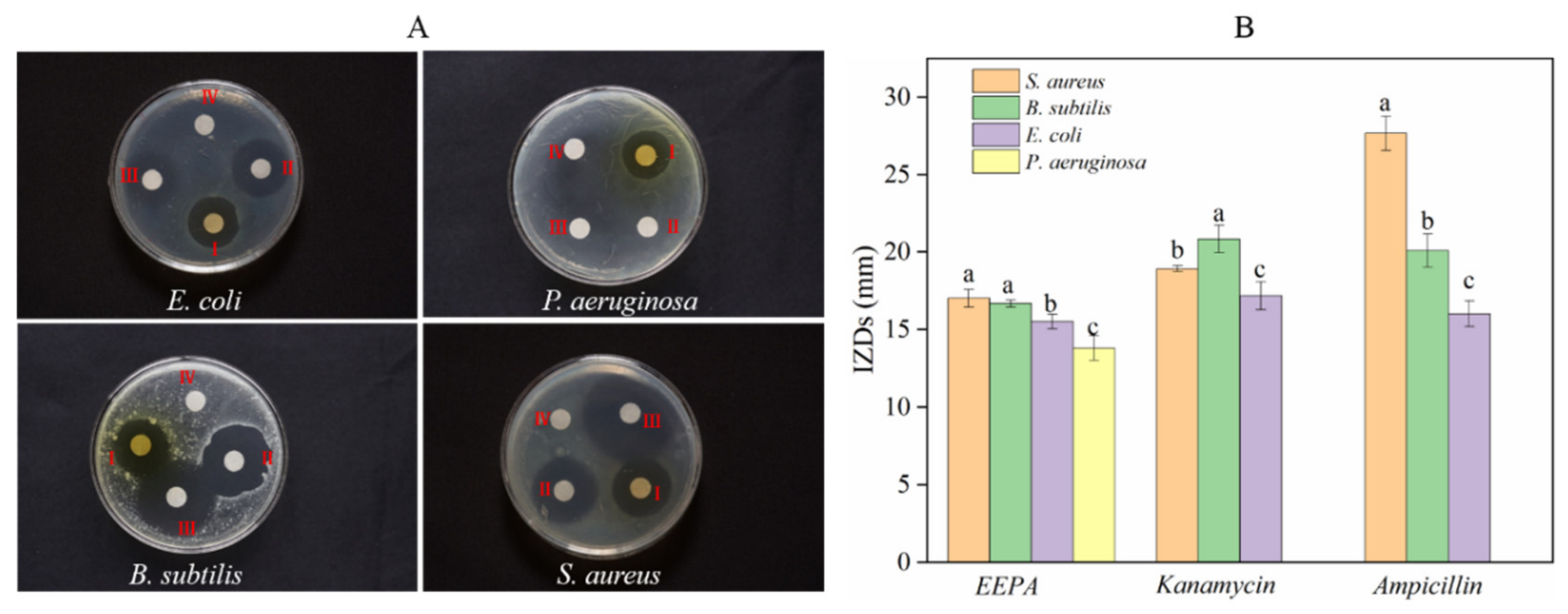 Processes 10 01394 g003 Processes 10 01394 g003