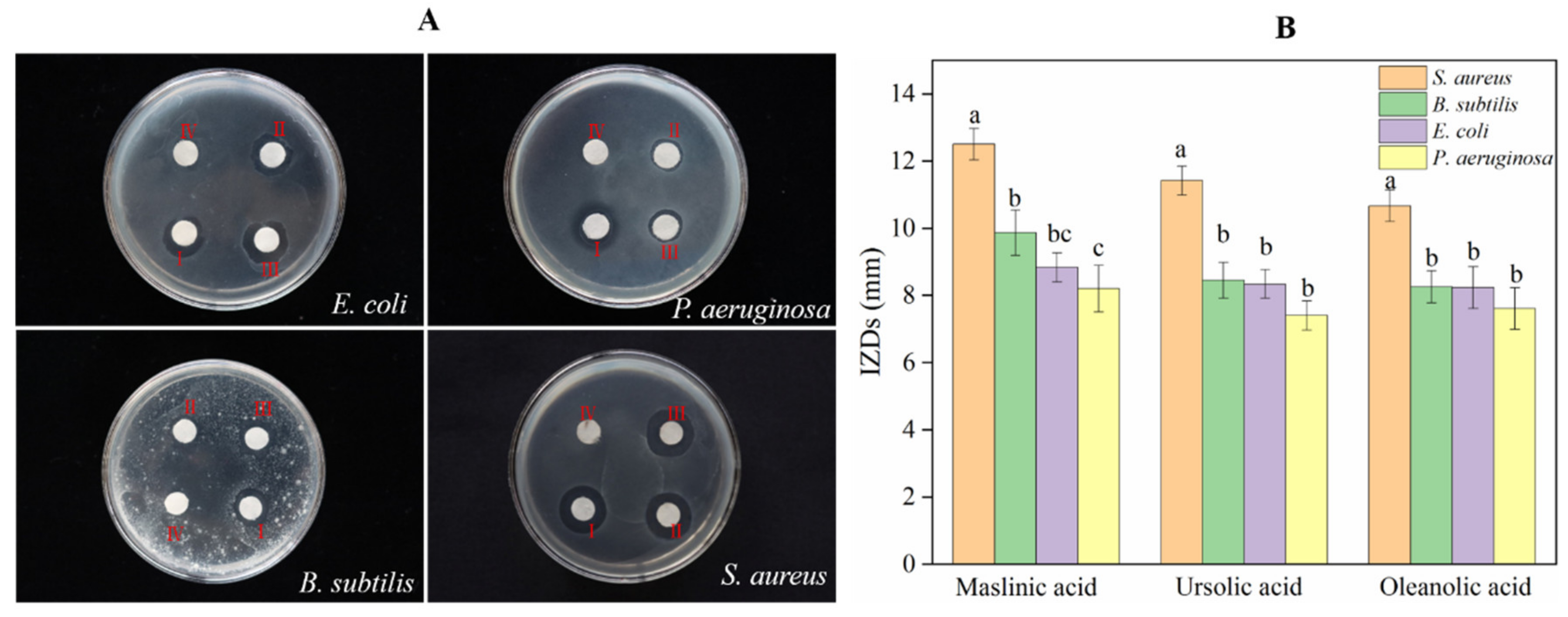 Processes 10 01394 g006 Processes 10 01394 g006
