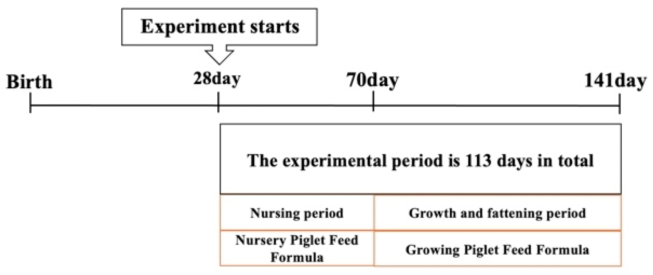 Processes 10 01498 g001