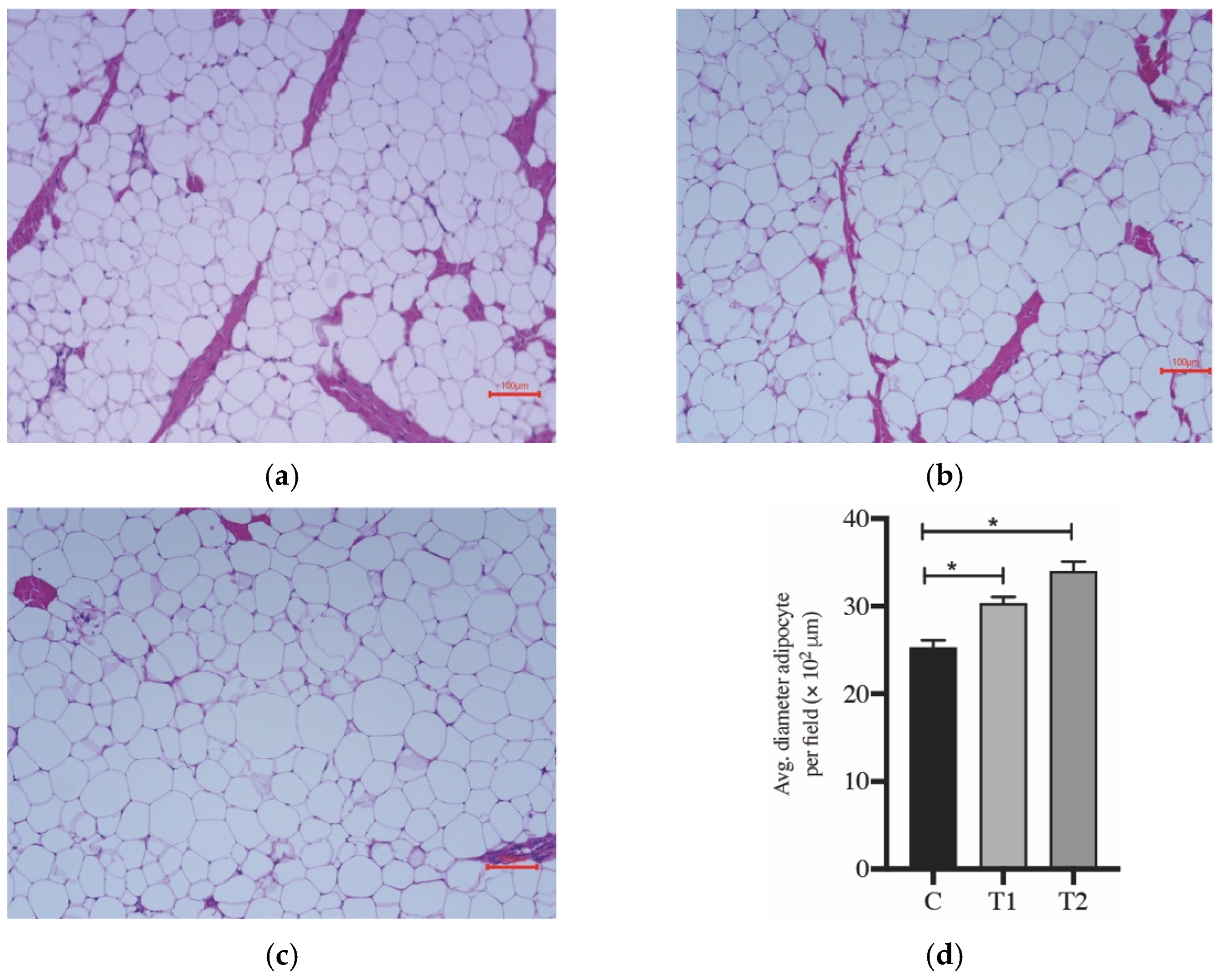 Processes 10 01498 g002