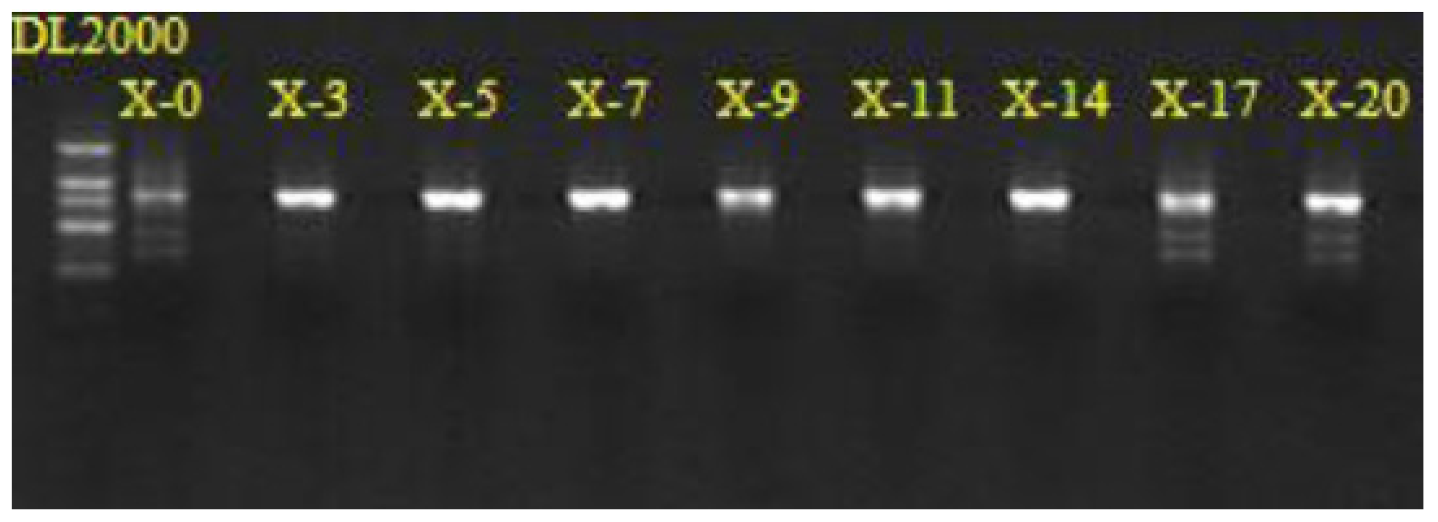 https://www.mdpi.com/processes/processes-10-01513/article_deploy/html/images/processes-10-01513-g001.png