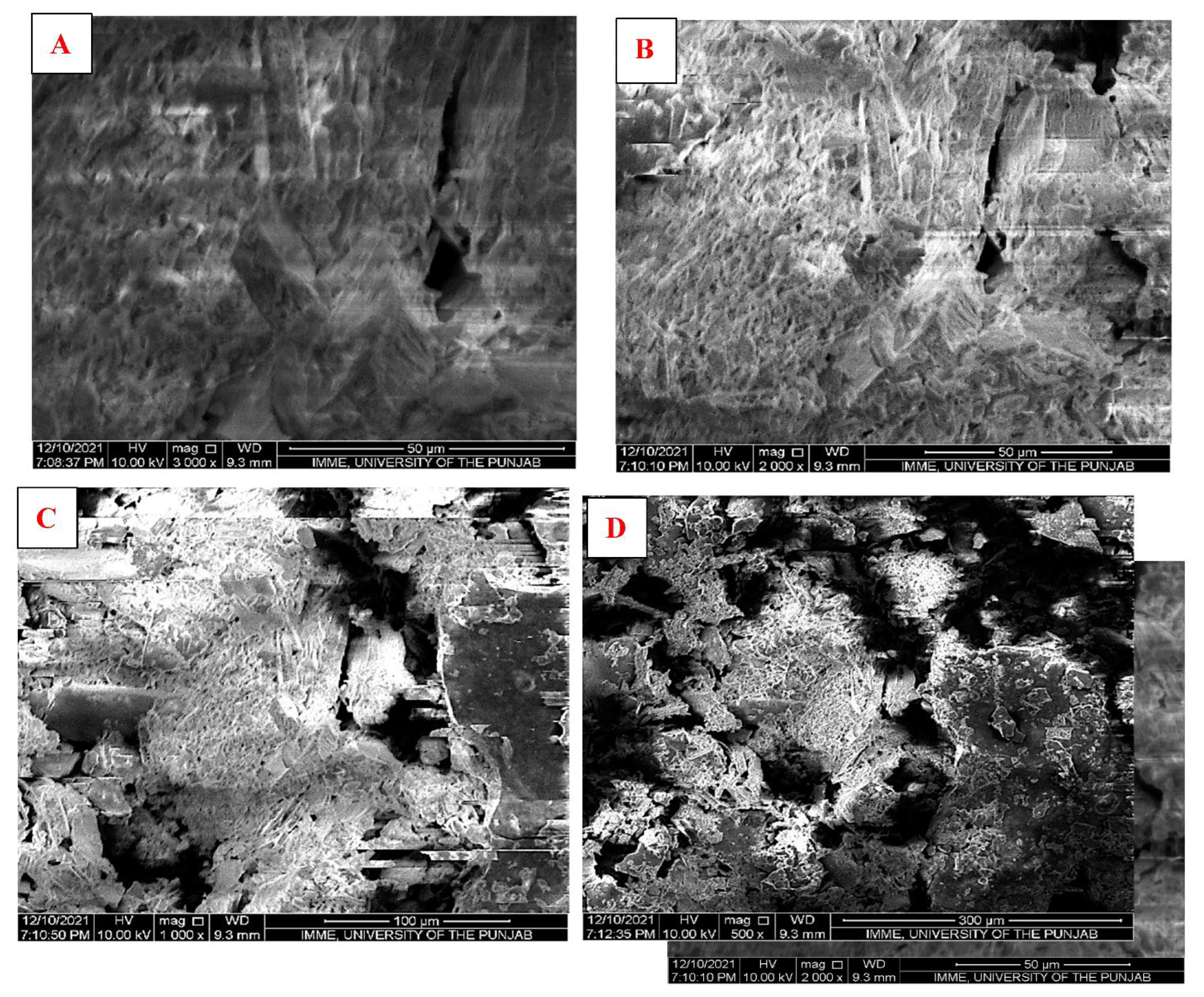 Processes 10 01521 g004