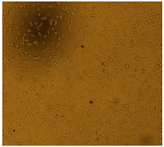 Processes 10 01521 i003