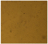 Processes 10 01521 i004